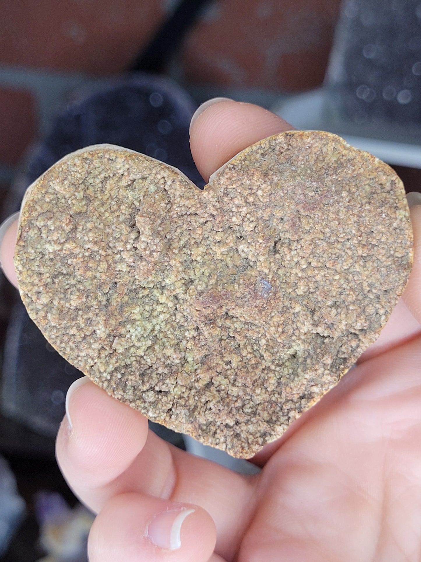 Assorted Raw Amethyst Hearts