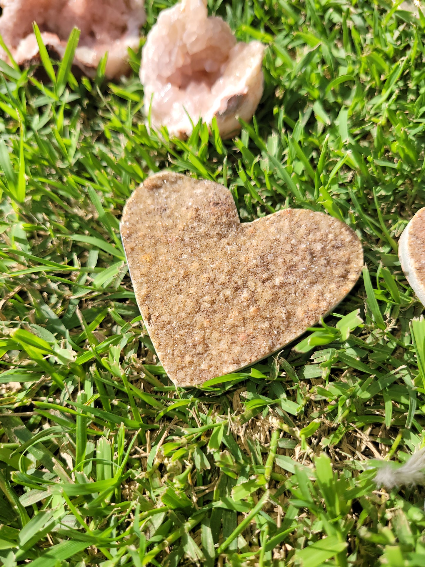 Assorted Raw Amethyst Hearts