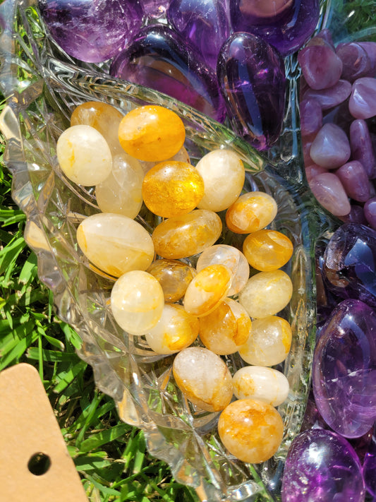 Golden Healer Tumbles