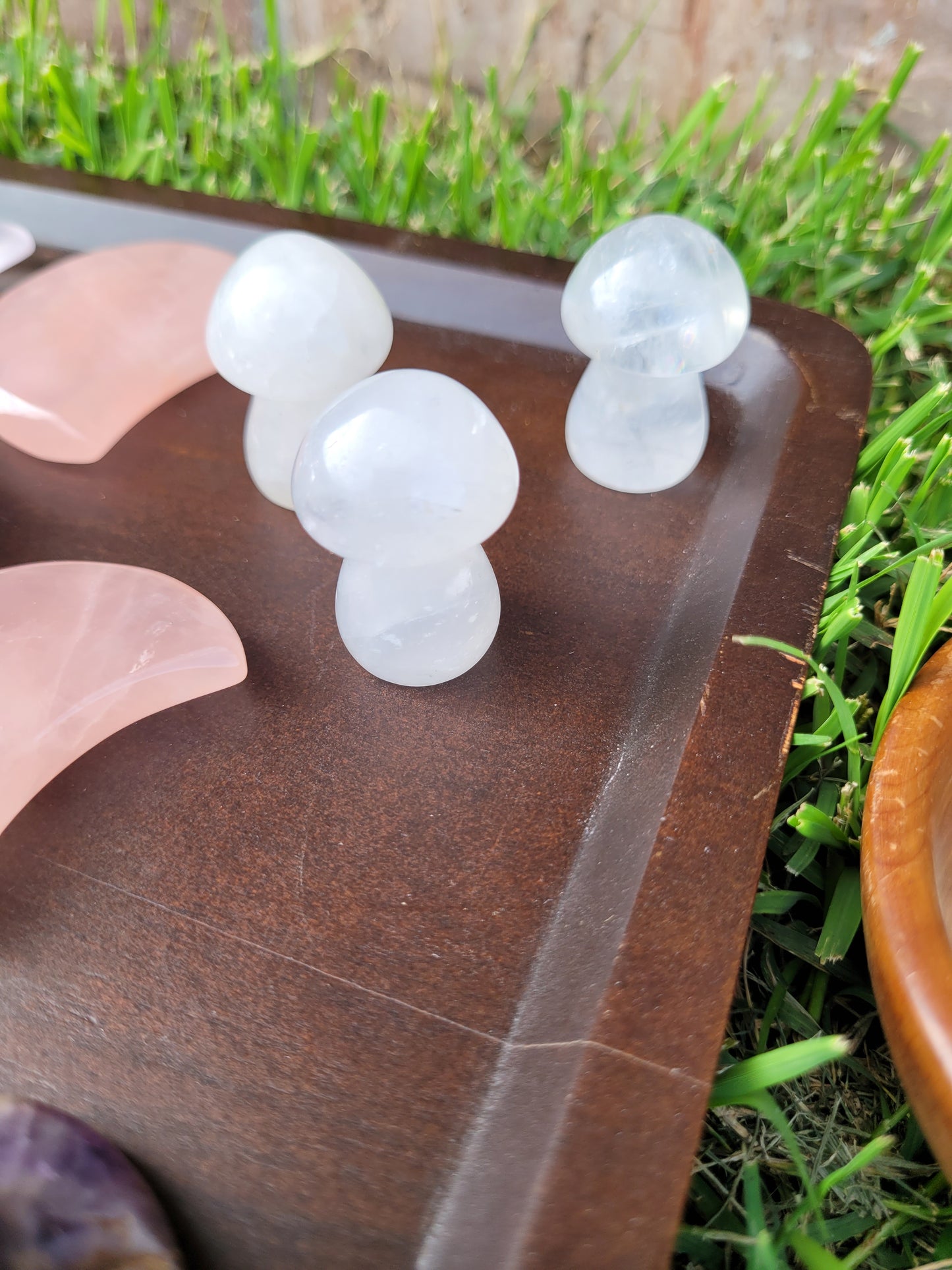 Mushroom Carvings - Small