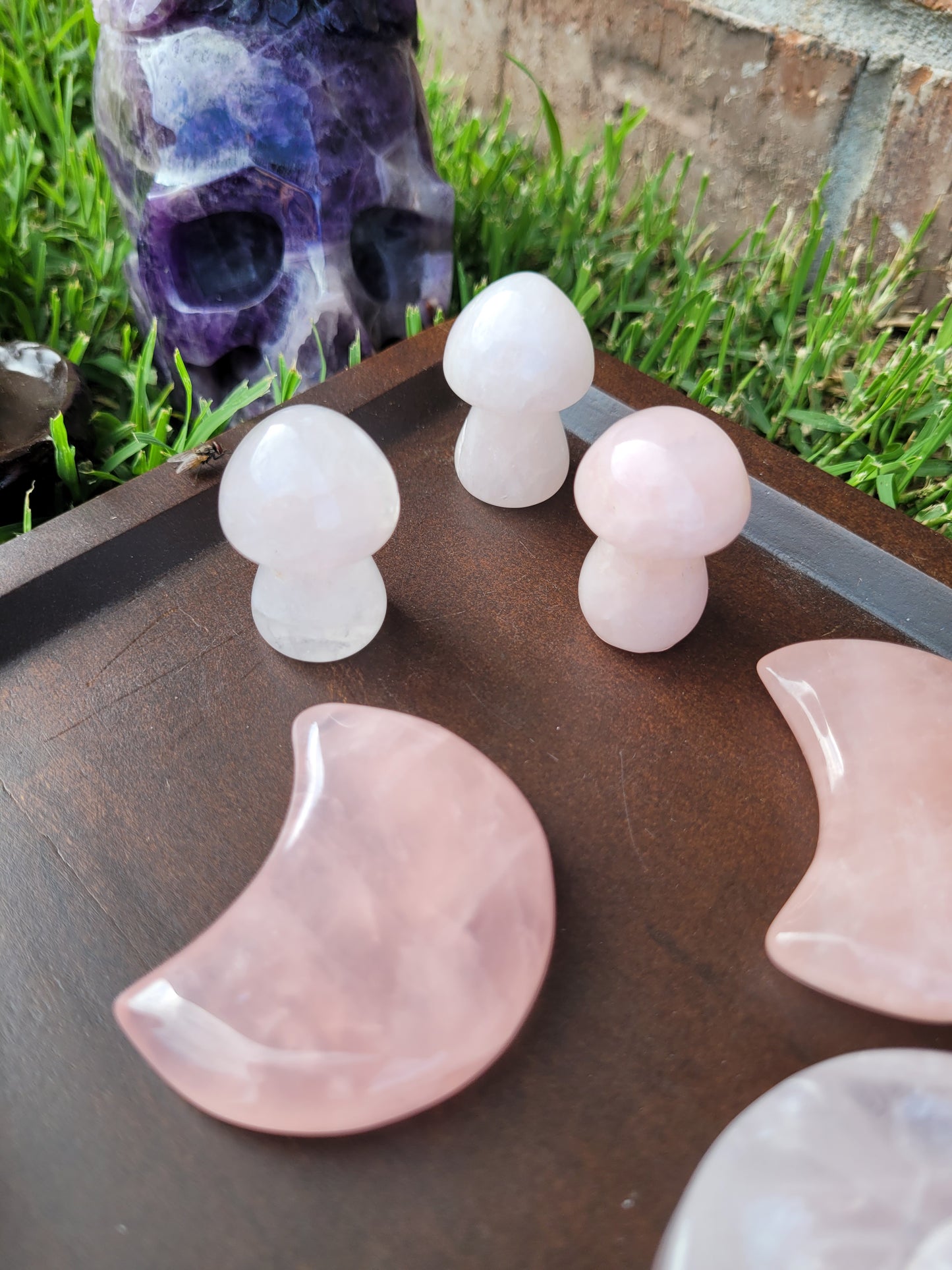 Mushroom Carvings - Small