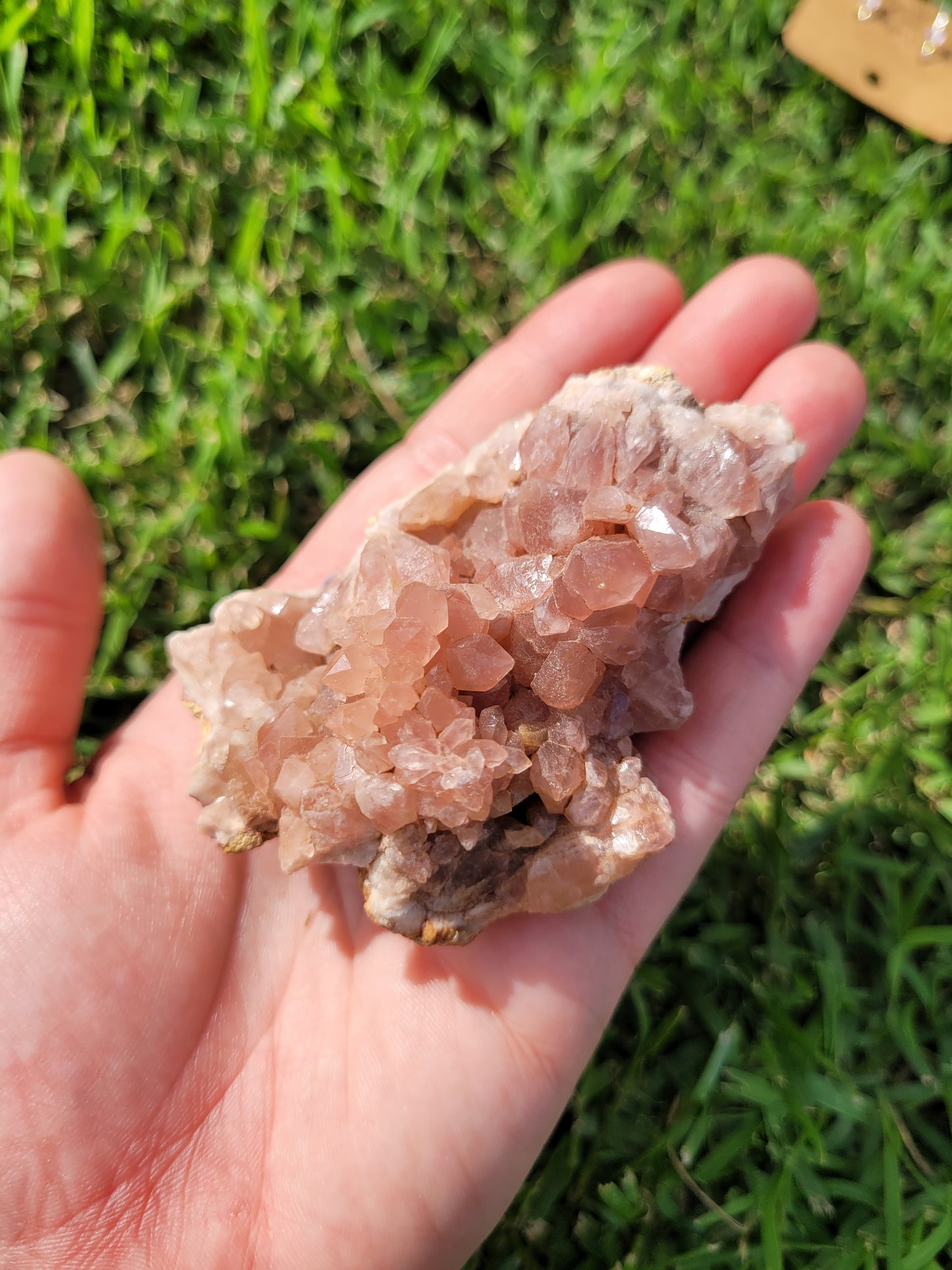 Pink Amethyst Geode Specimens