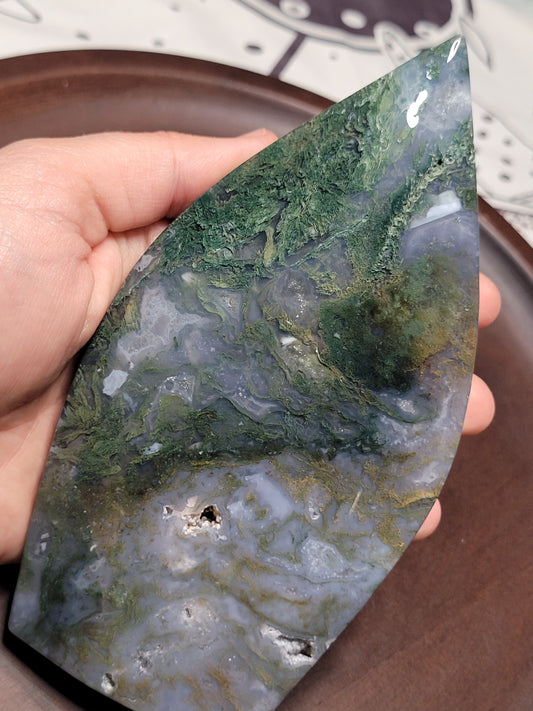 Moss Agate Teardrop Freeform