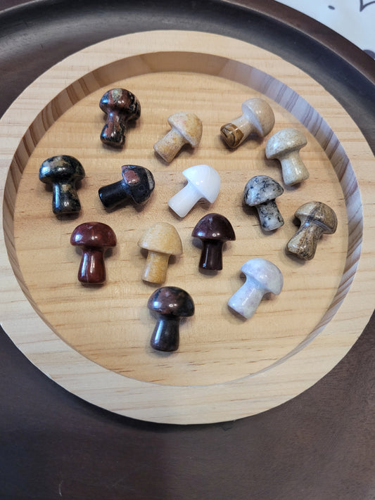 Mushroom Carvings - Mini