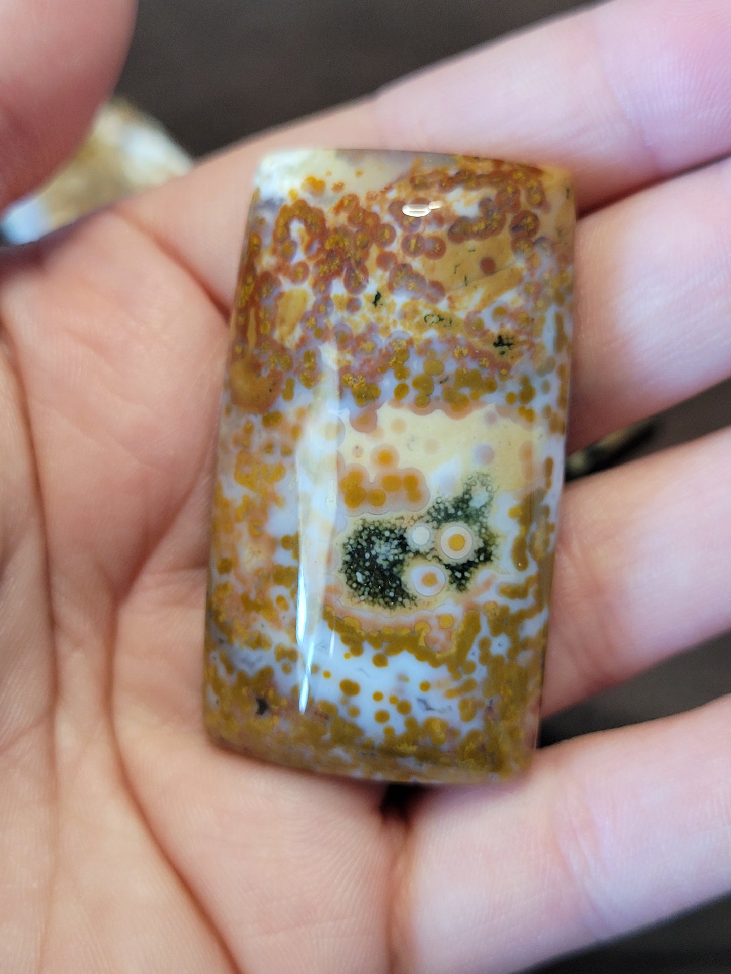 Ocean Jasper Cabs