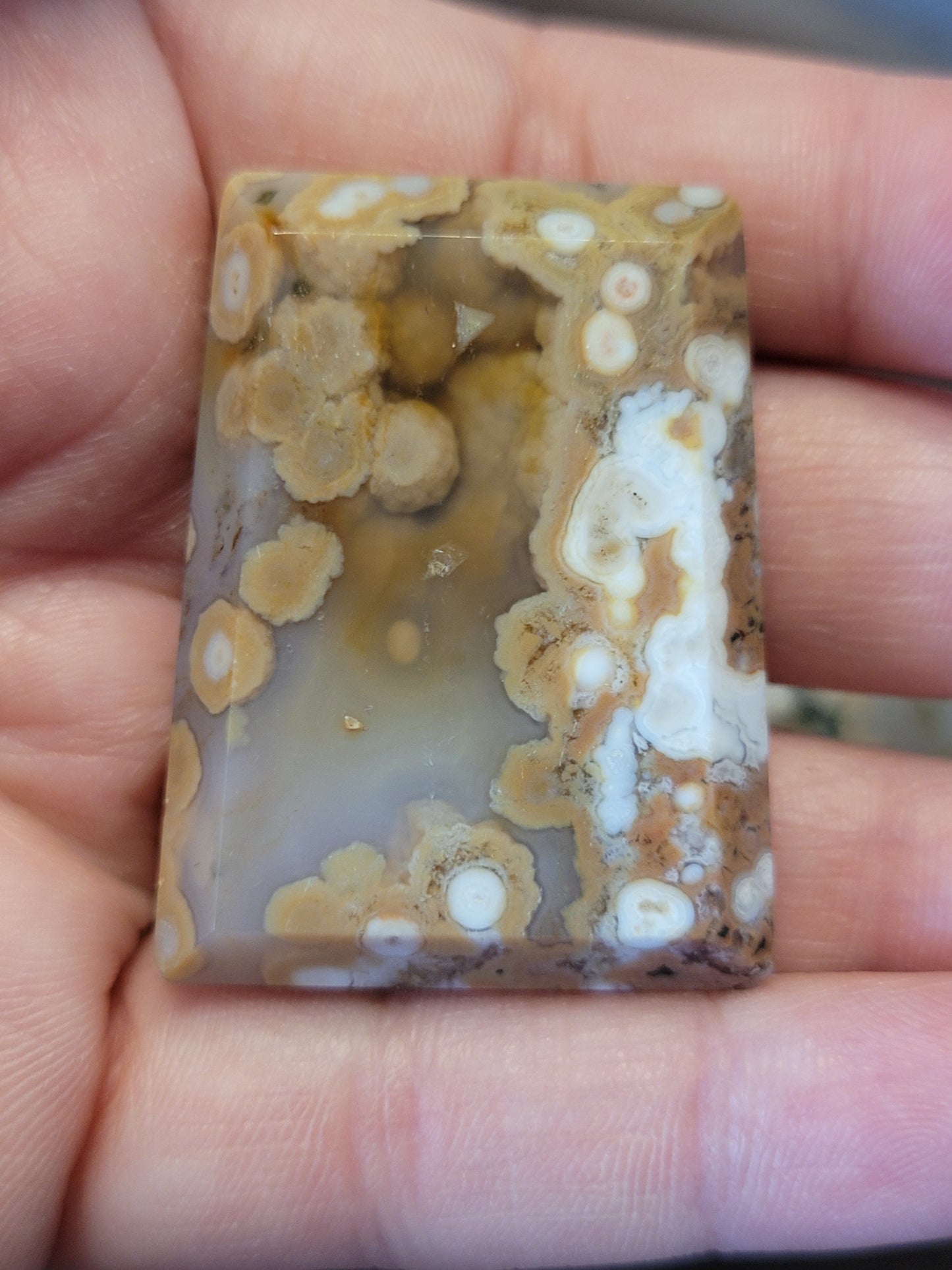 Ocean Jasper Cabs