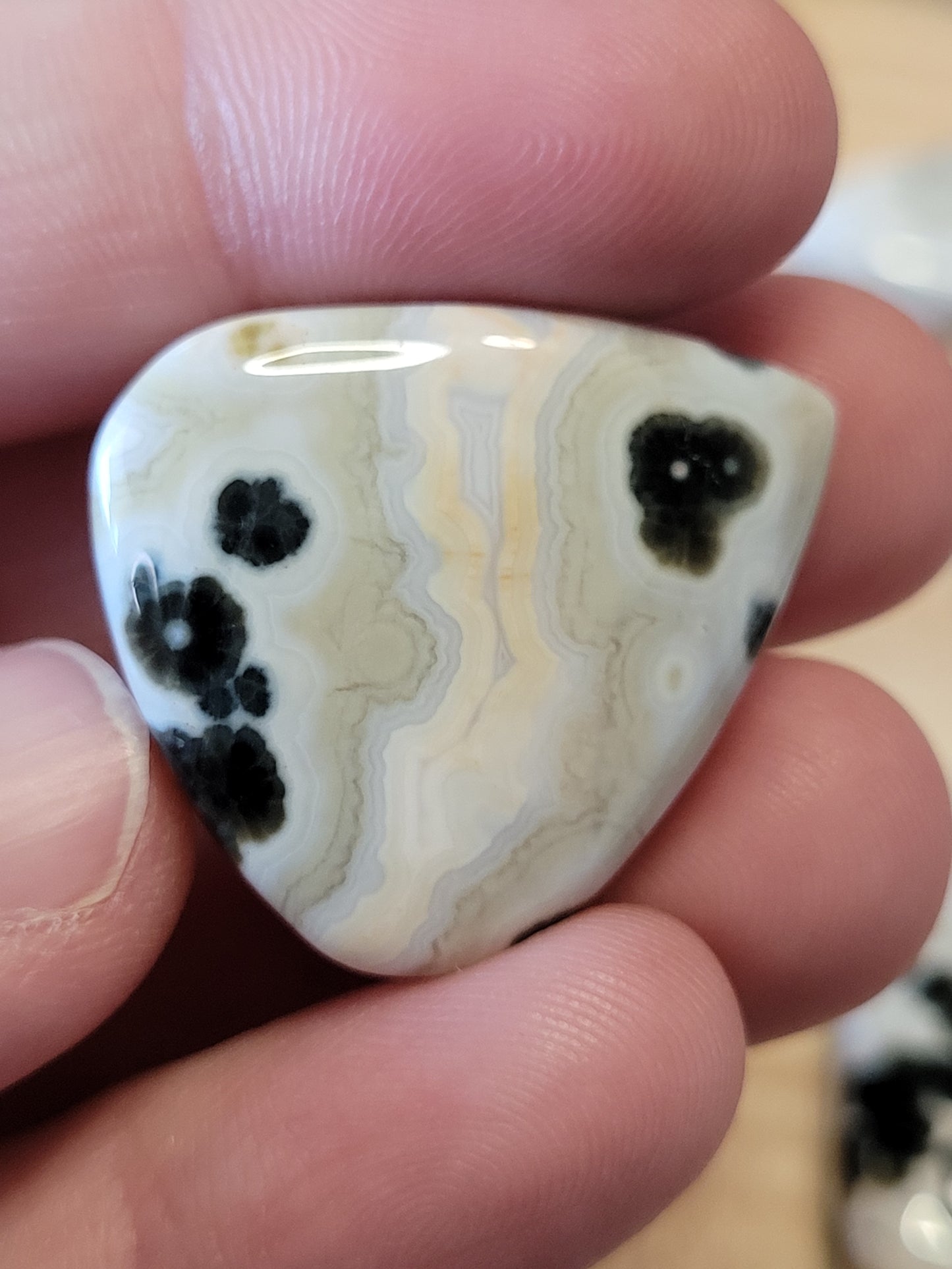 White & Green Ocean Jasper Cabs