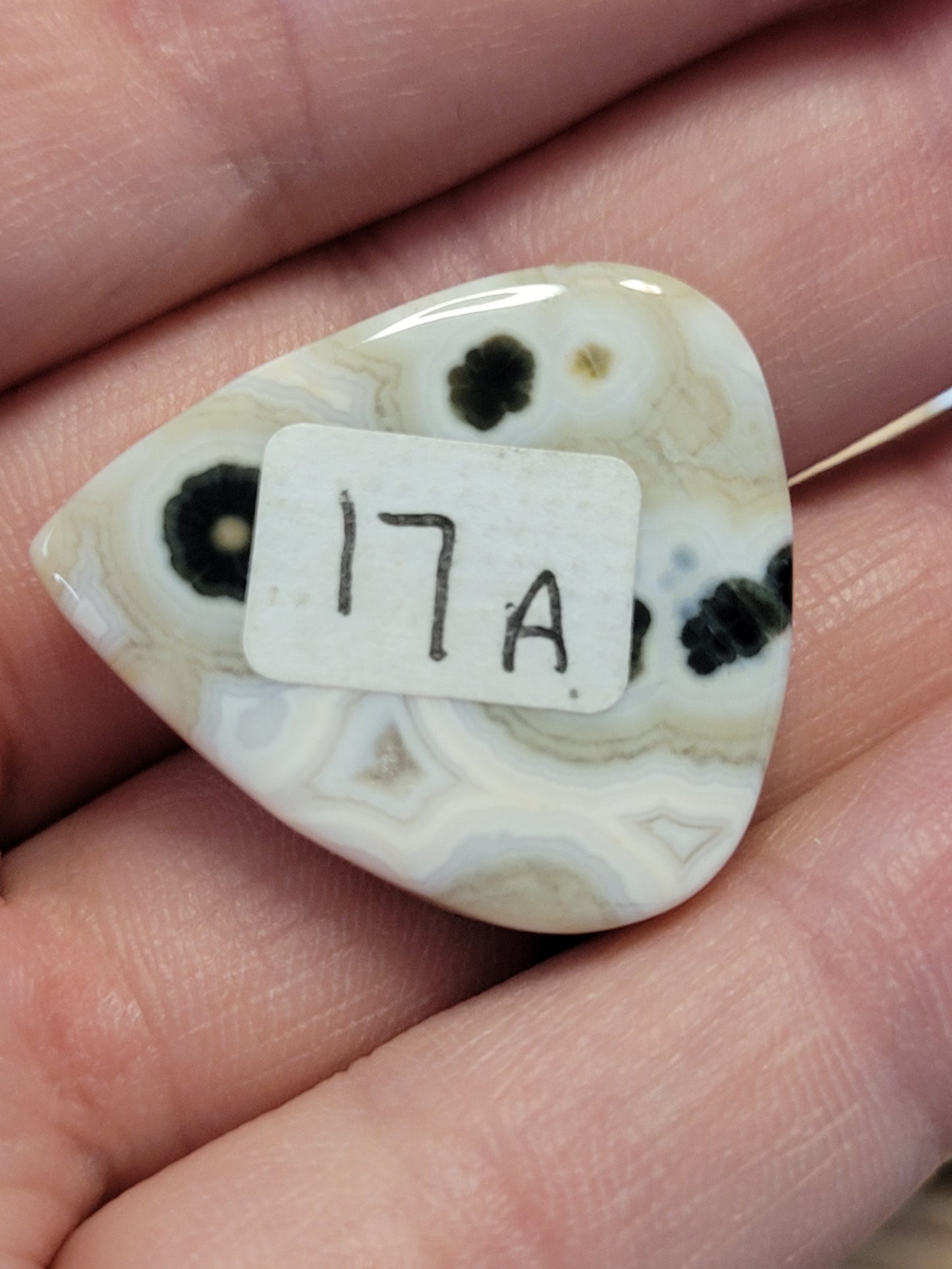 White & Green Ocean Jasper Cabs