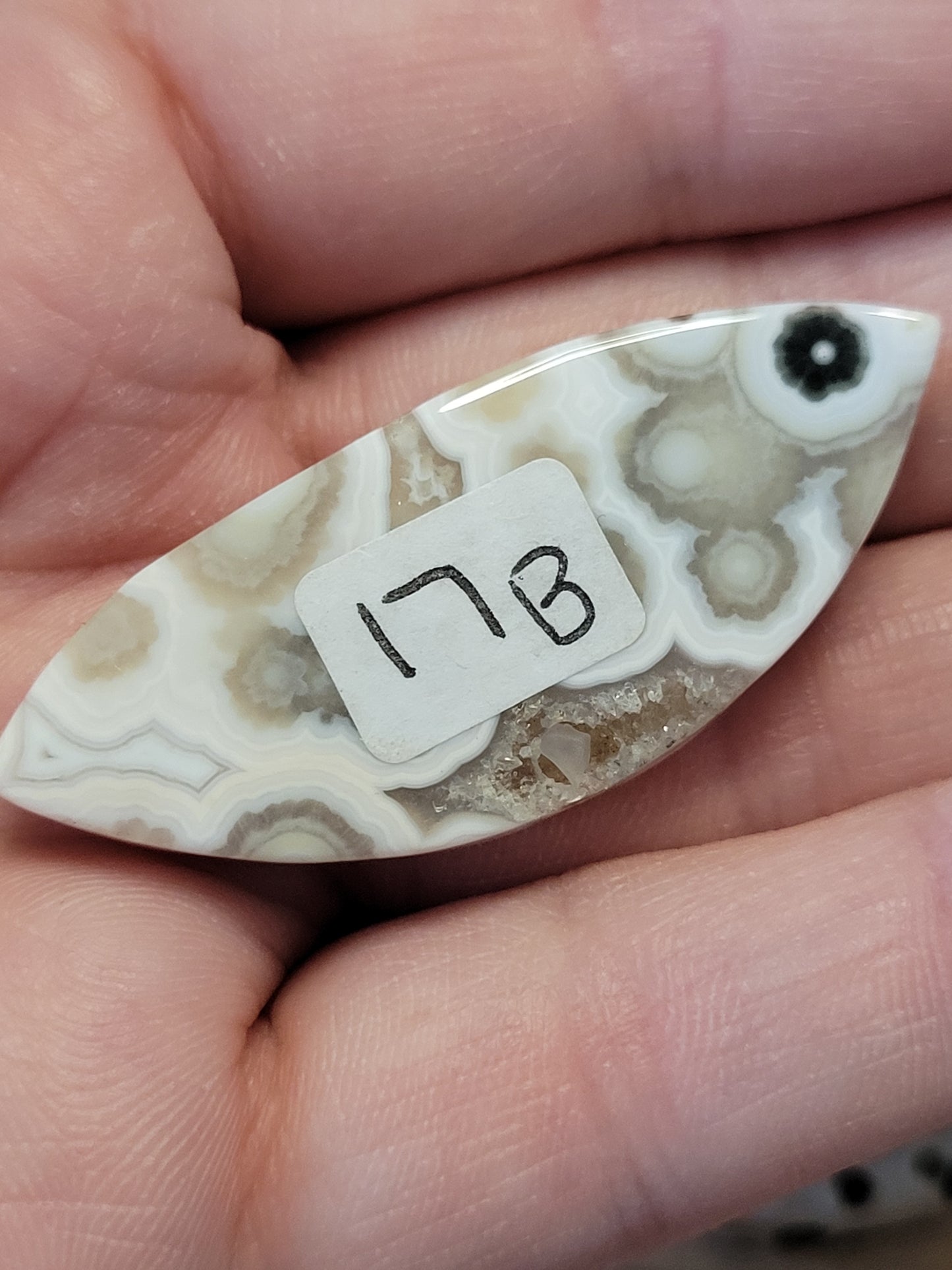 White & Green Ocean Jasper Cabs