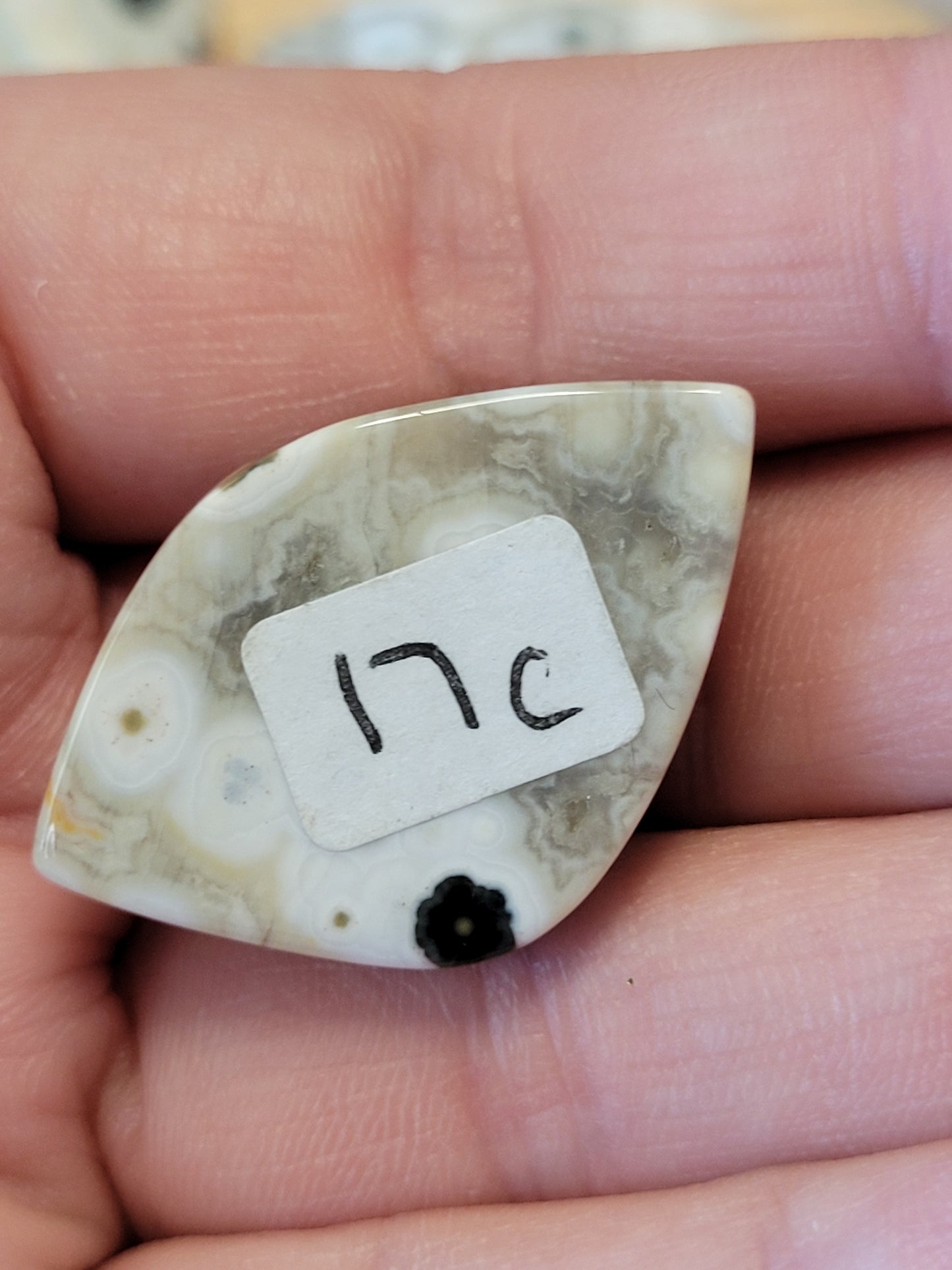 White & Green Ocean Jasper Cabs
