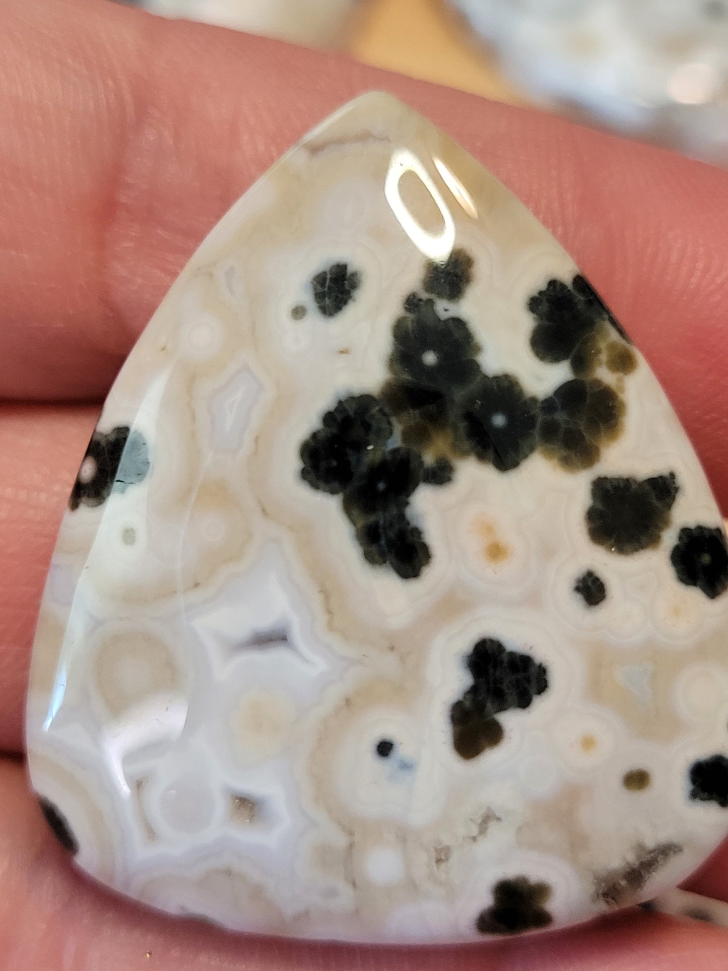 White & Green Ocean Jasper Cabs