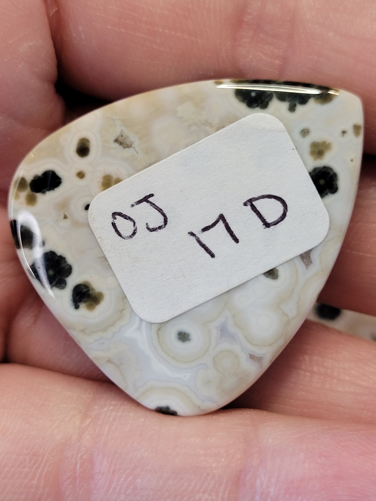 White & Green Ocean Jasper Cabs