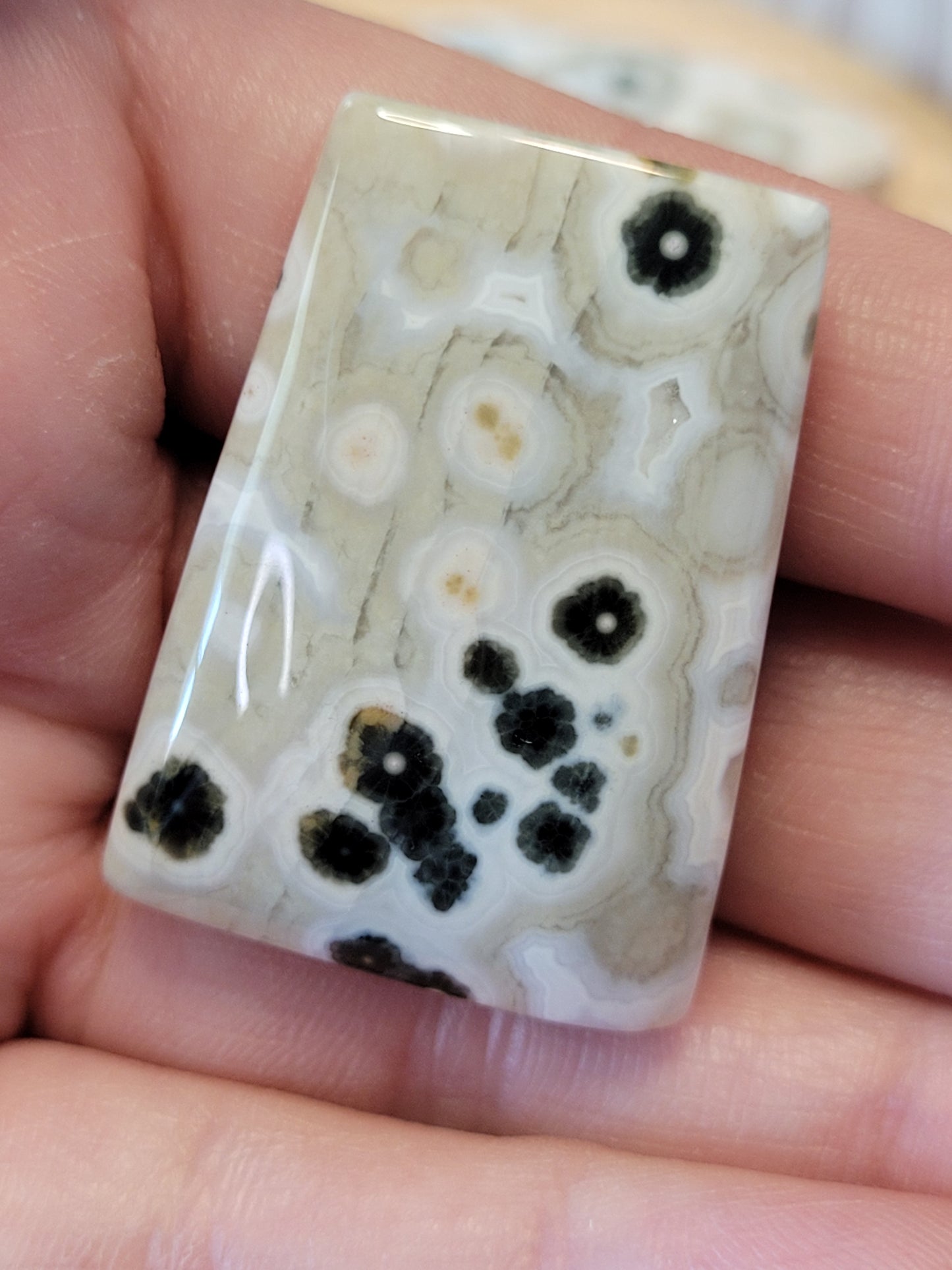 White & Green Ocean Jasper Cabs
