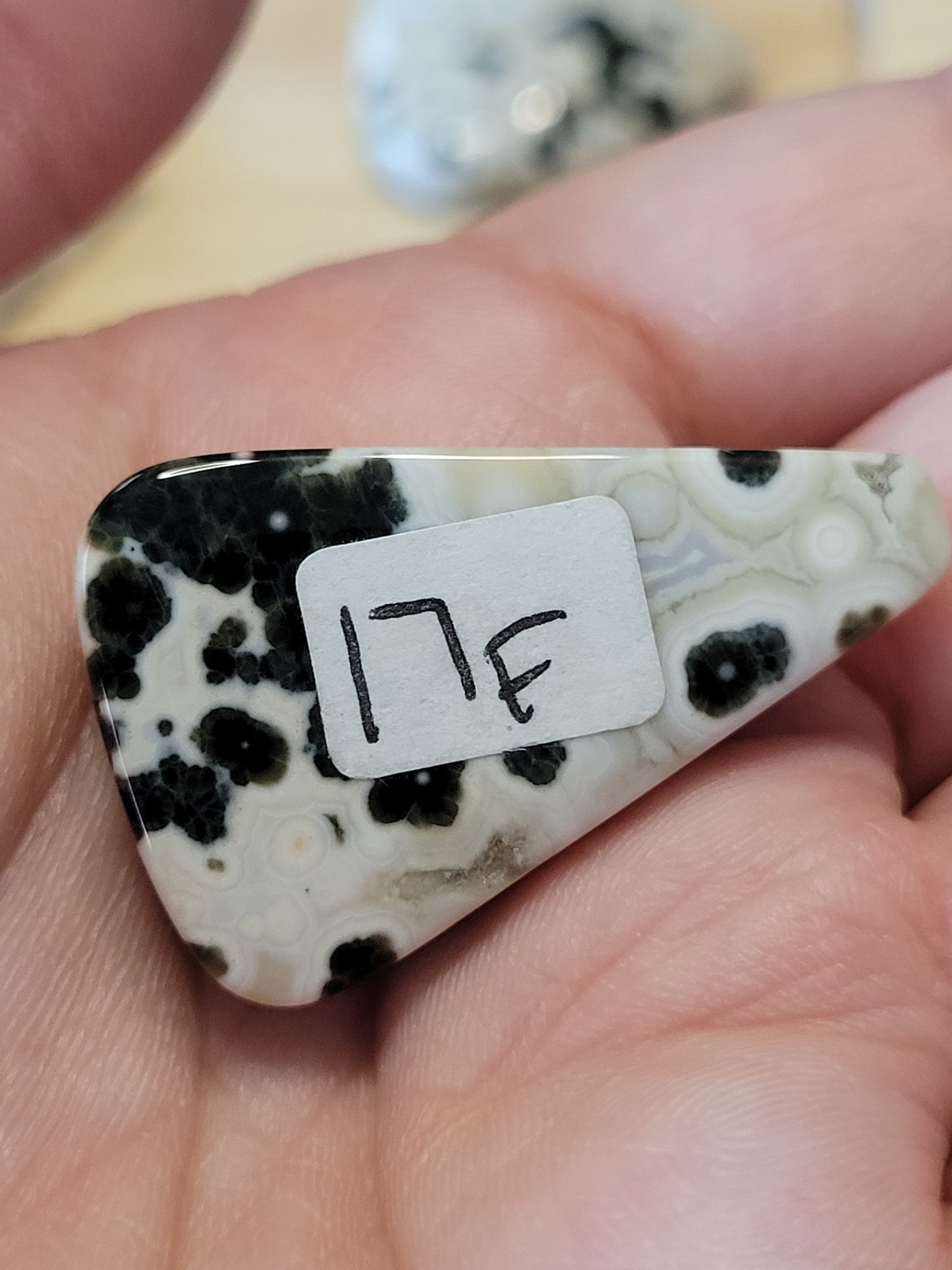 White & Green Ocean Jasper Cabs