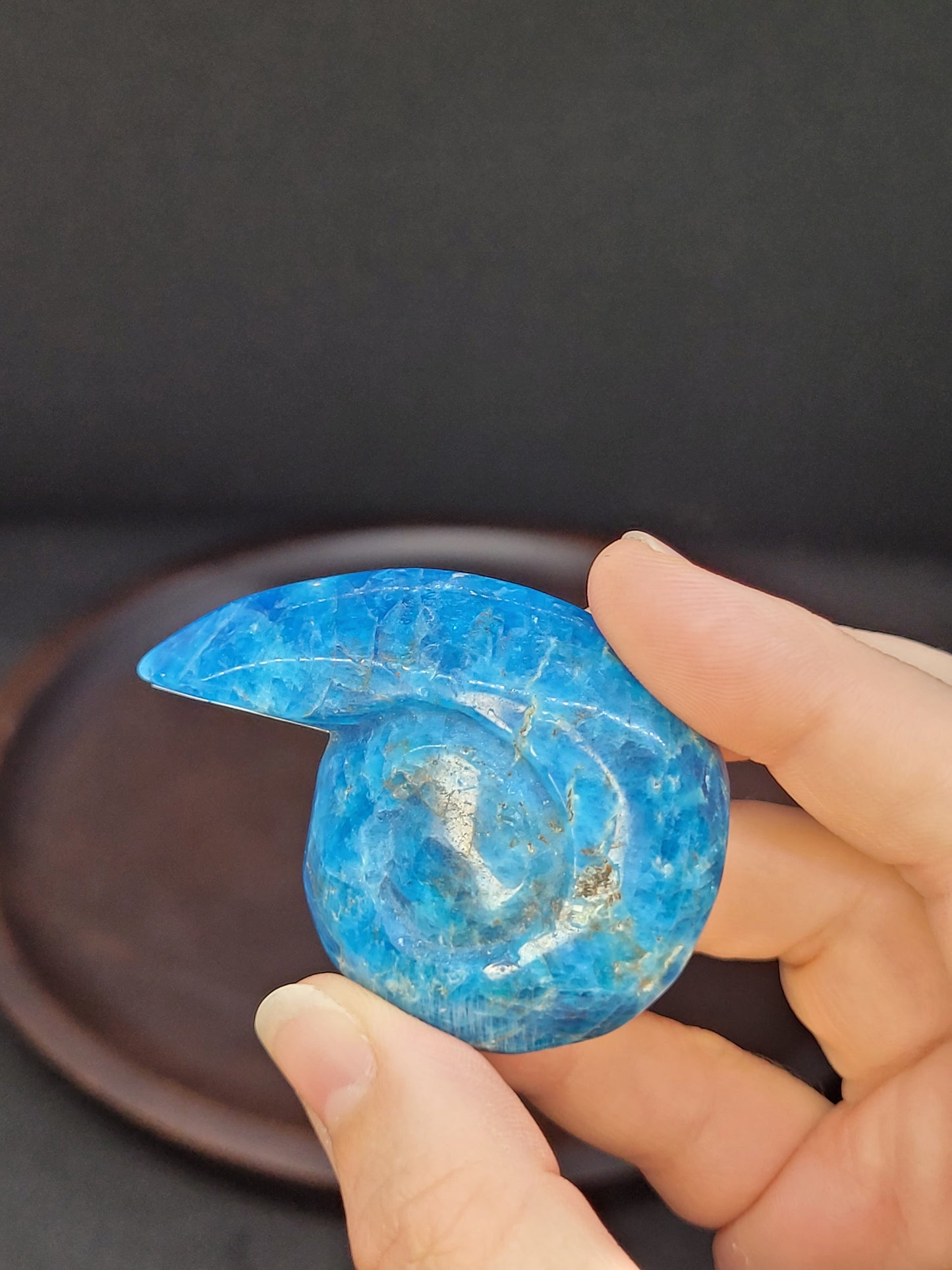 Blue Apatite Shell - Misfit