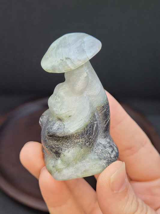 Labradorite Totoro on Mushroom carving