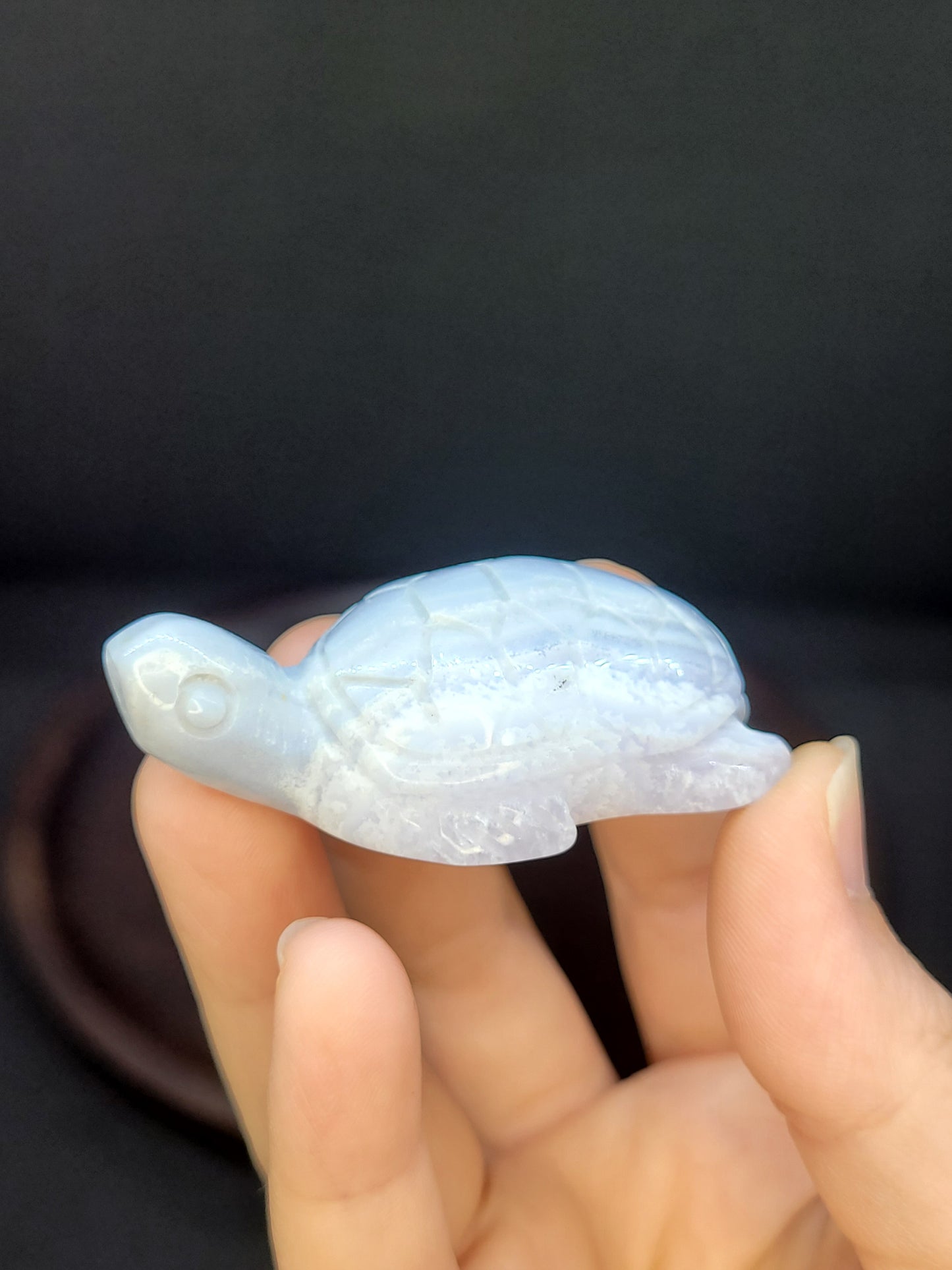 Blue Lace Agate Turtle