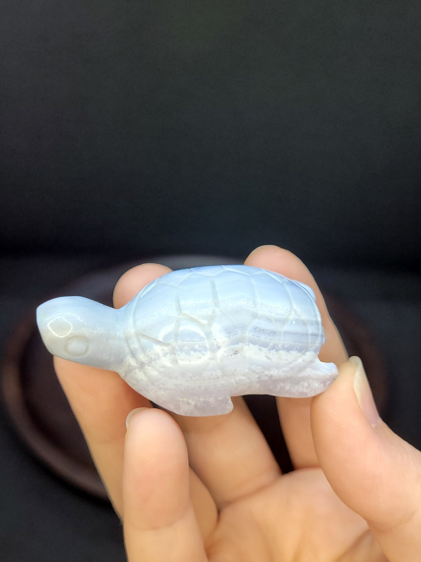 Blue Lace Agate Turtle