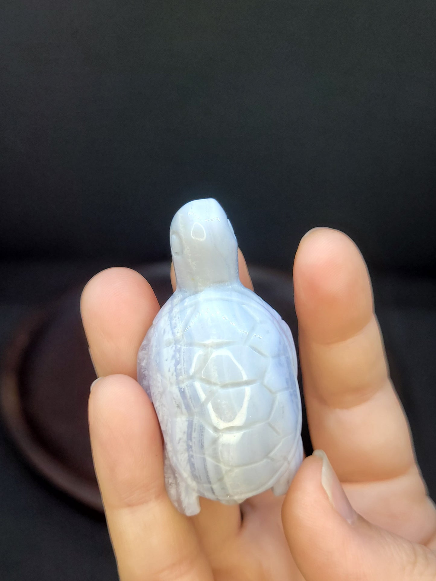 Blue Lace Agate Turtle