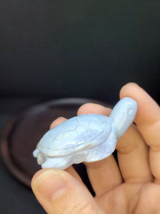Blue Lace Agate Turtle