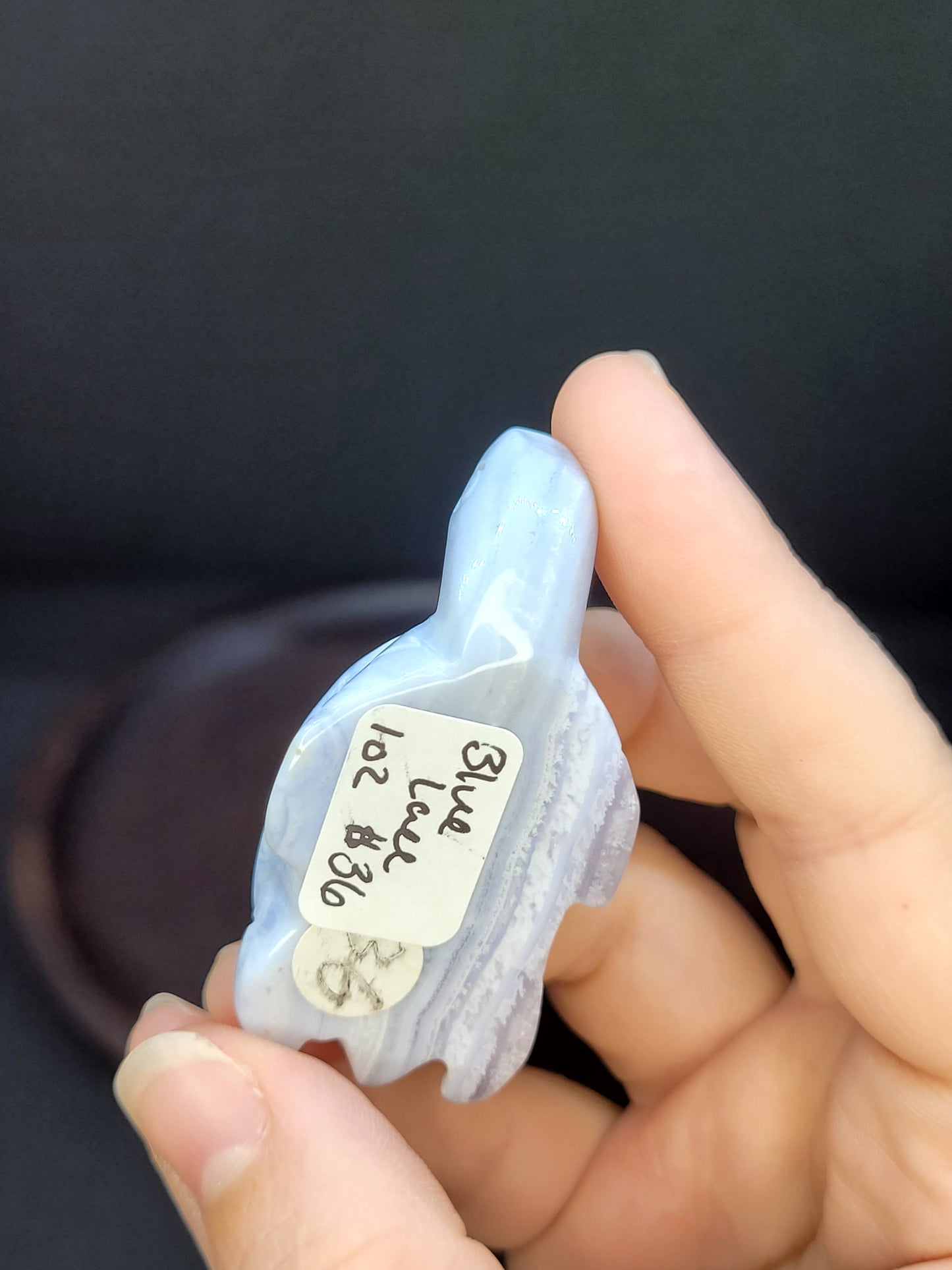 Blue Lace Agate Turtle
