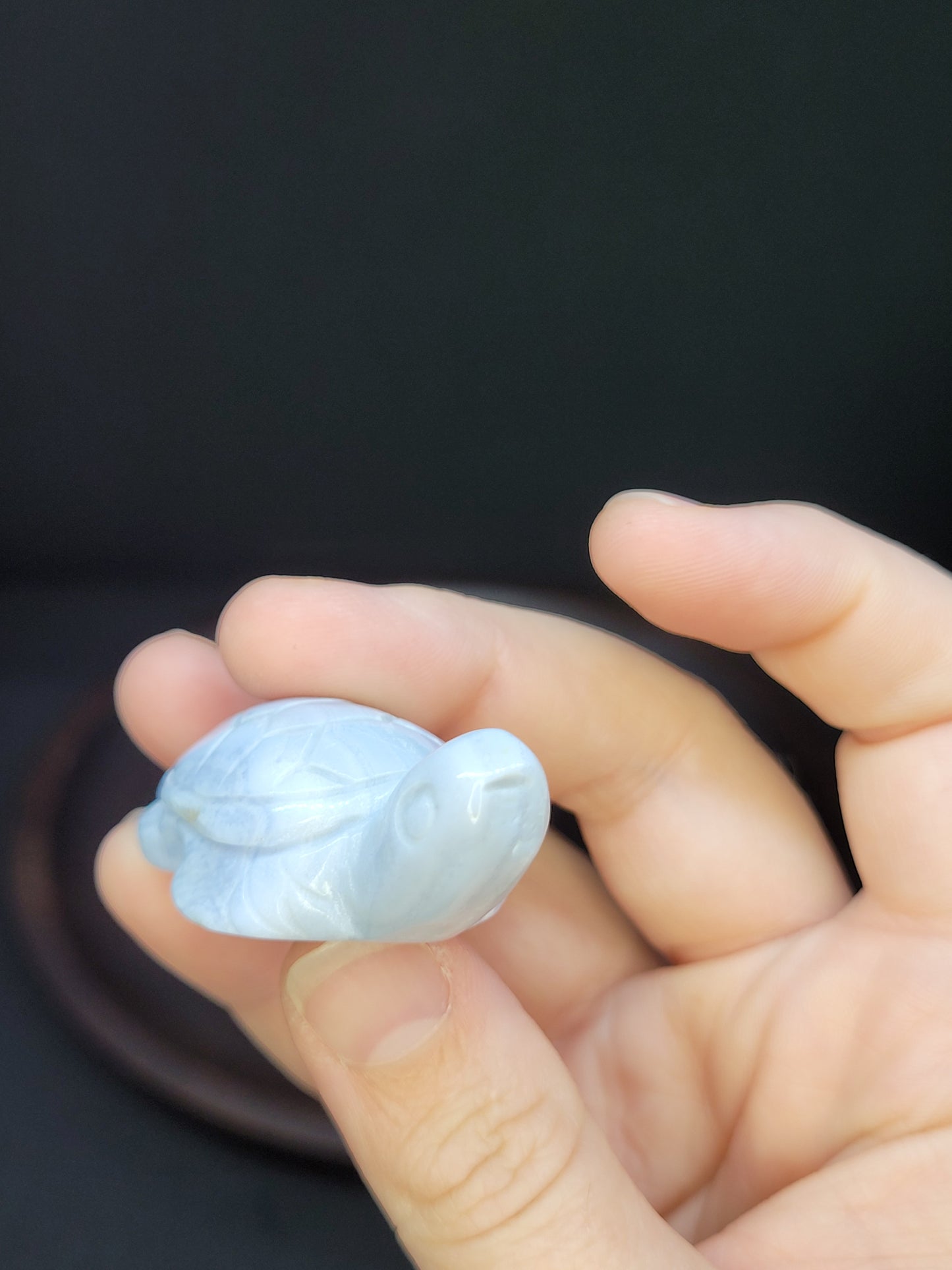 Blue Lace Agate Turtle