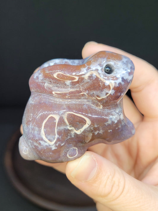 Ocean Jasper Bunny Rabbit