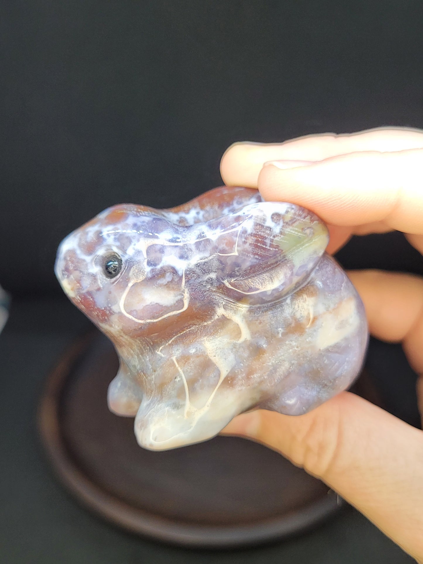 Ocean Jasper Bunny Rabbit
