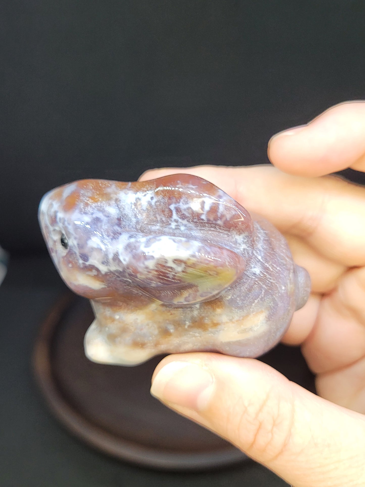 Ocean Jasper Bunny Rabbit