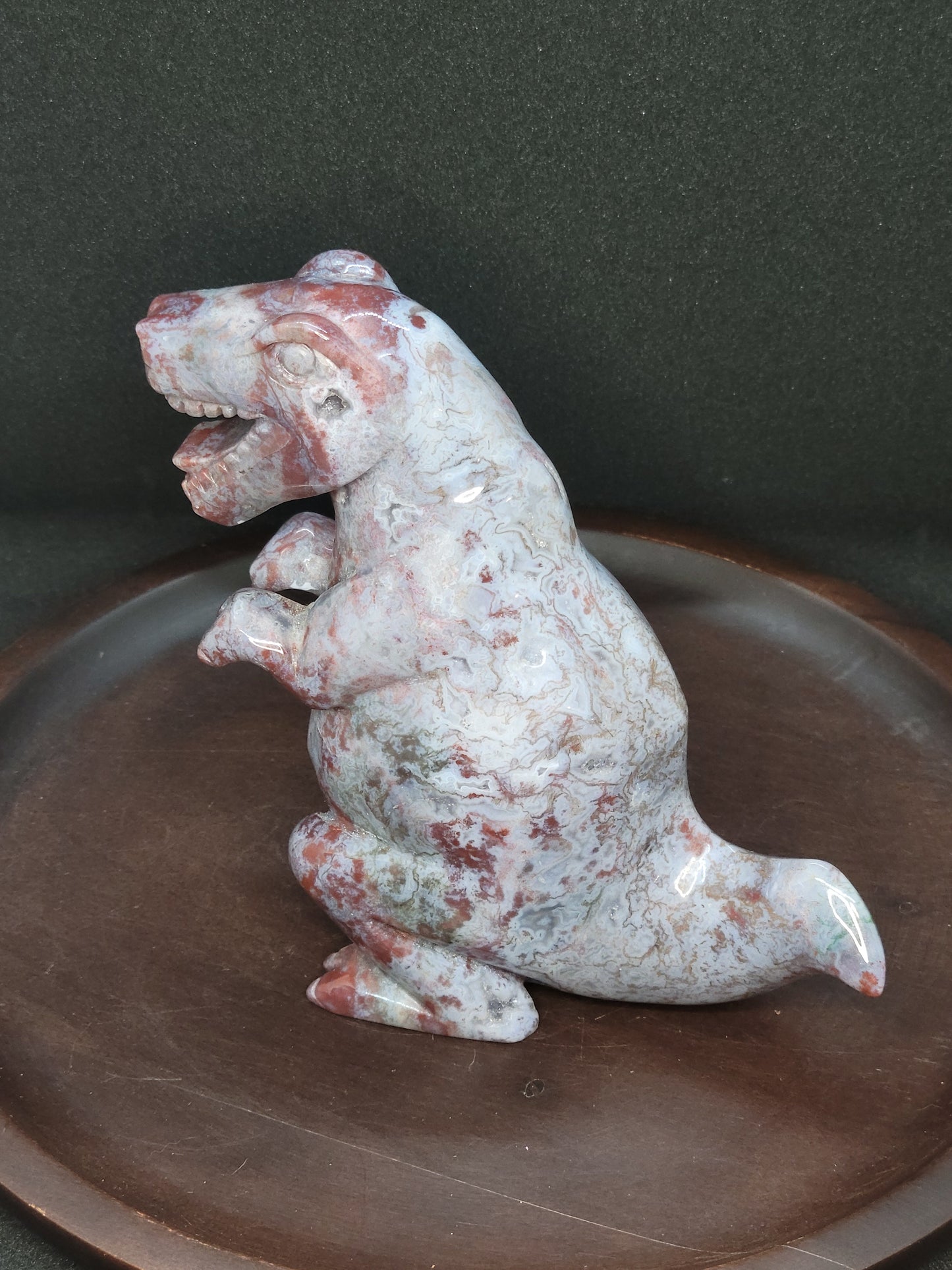 Ocean Jasper T Rex - Large