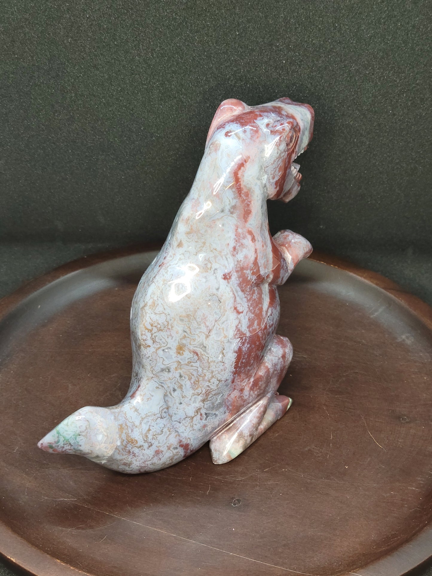 Ocean Jasper T Rex - Large