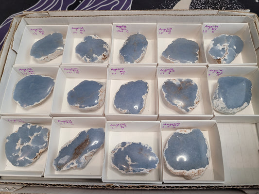 Angelite Raw/Polished Pieces