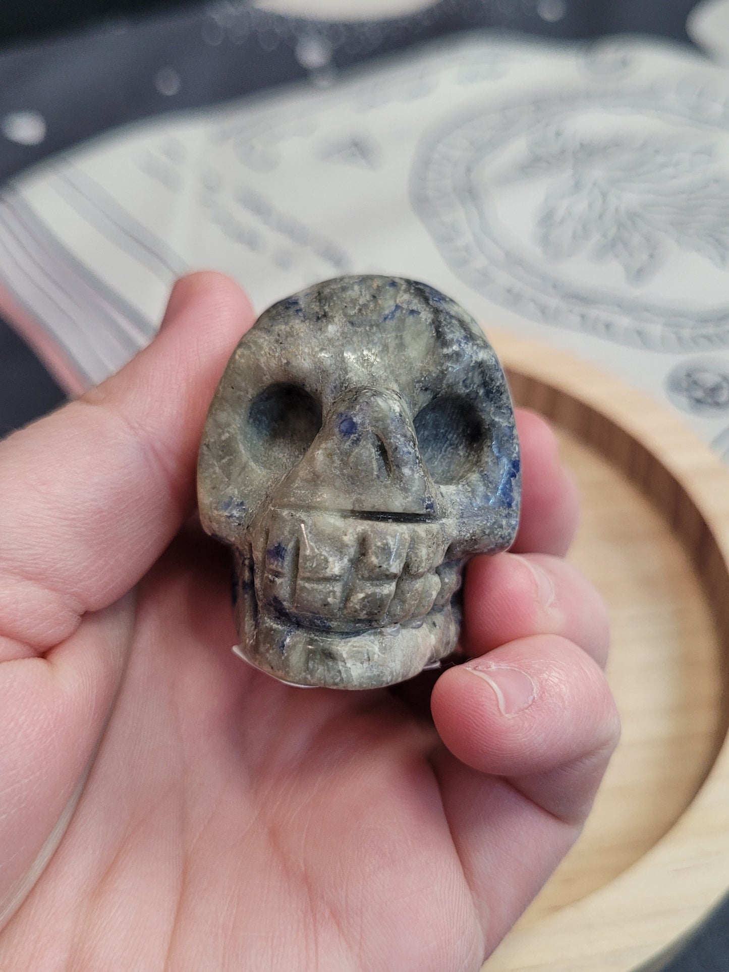 Sodalite Skull - Small - misfit