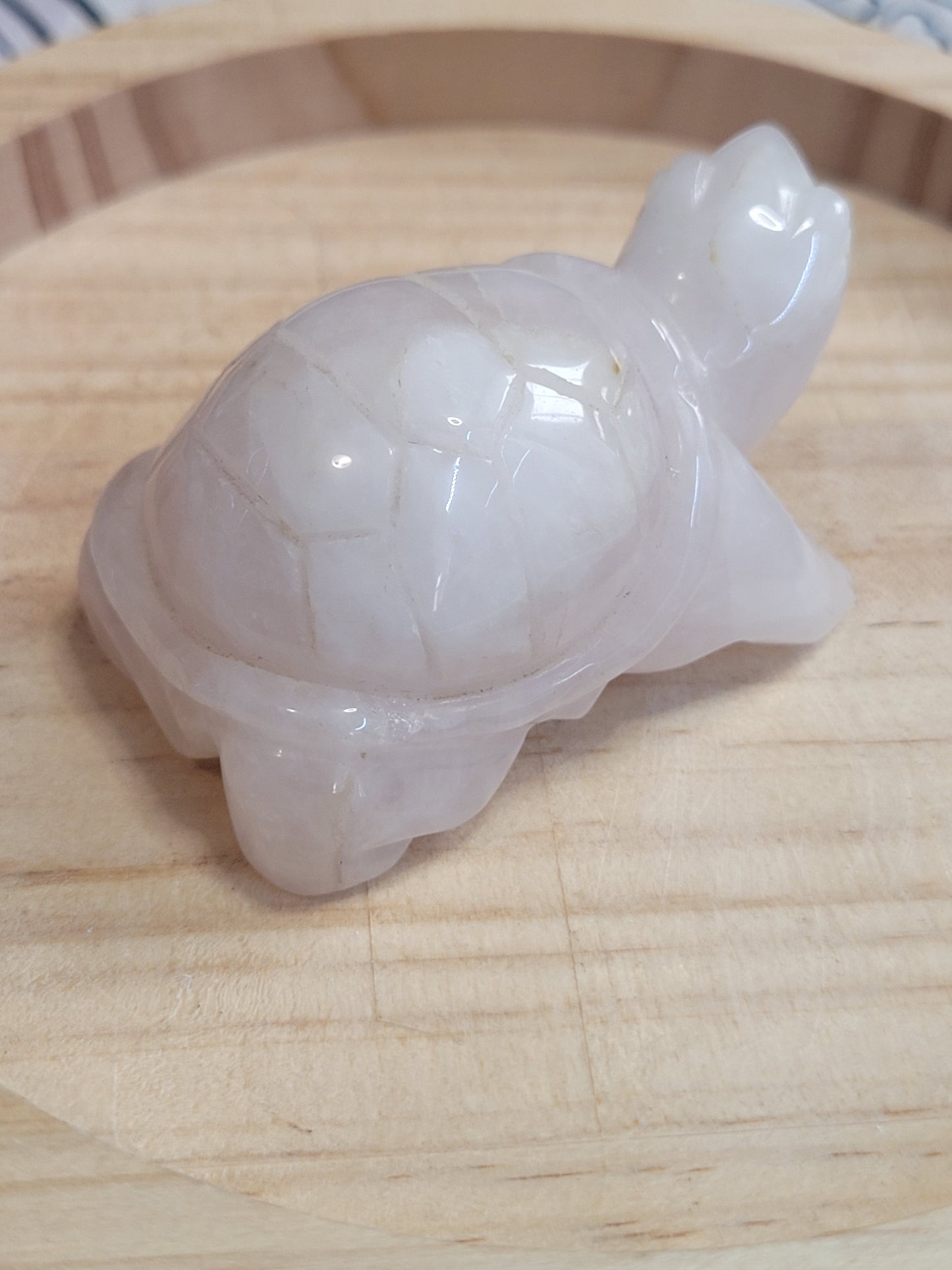 Rose Quartz Tortoise - misfit