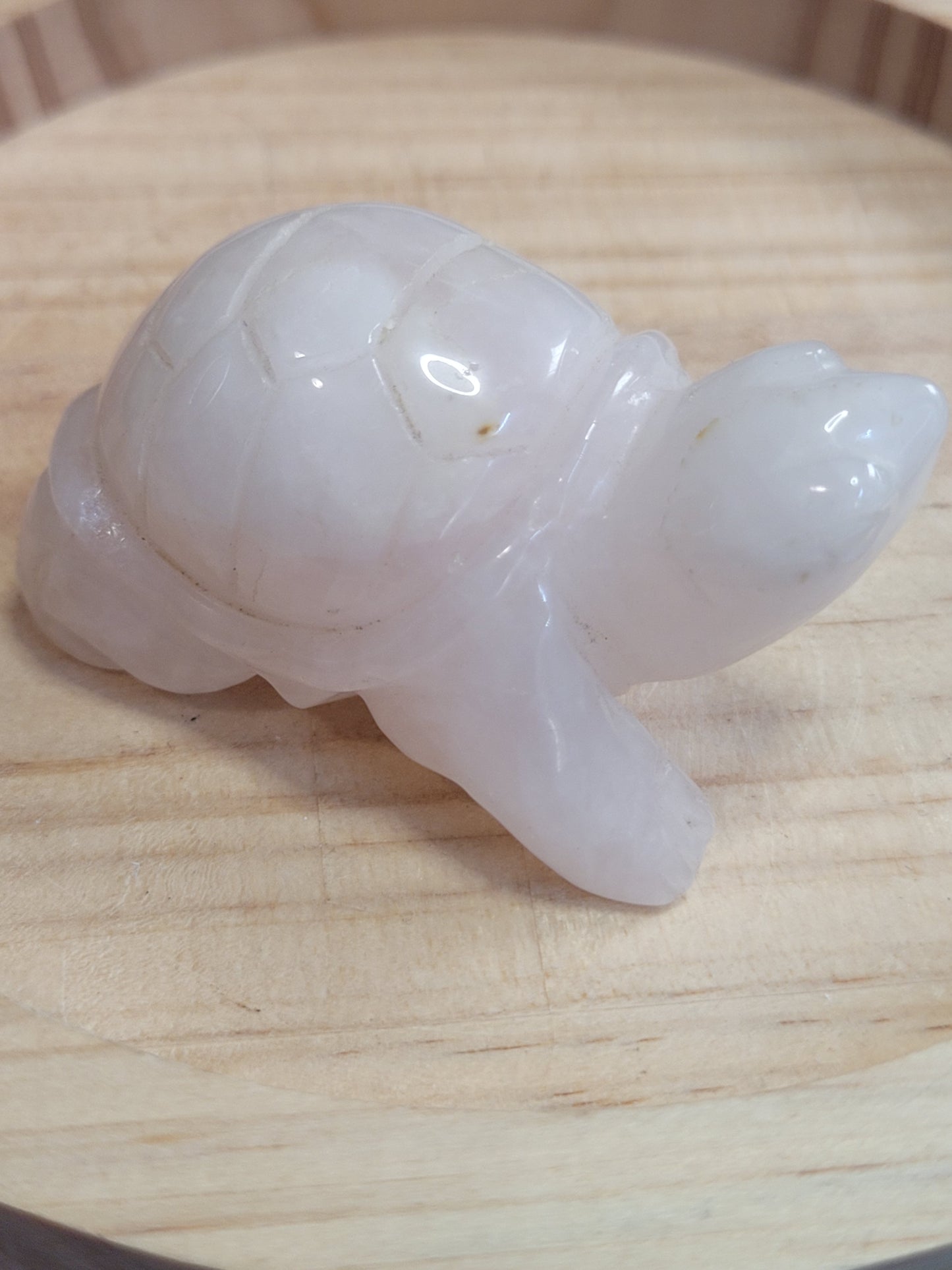 Rose Quartz Tortoise - misfit