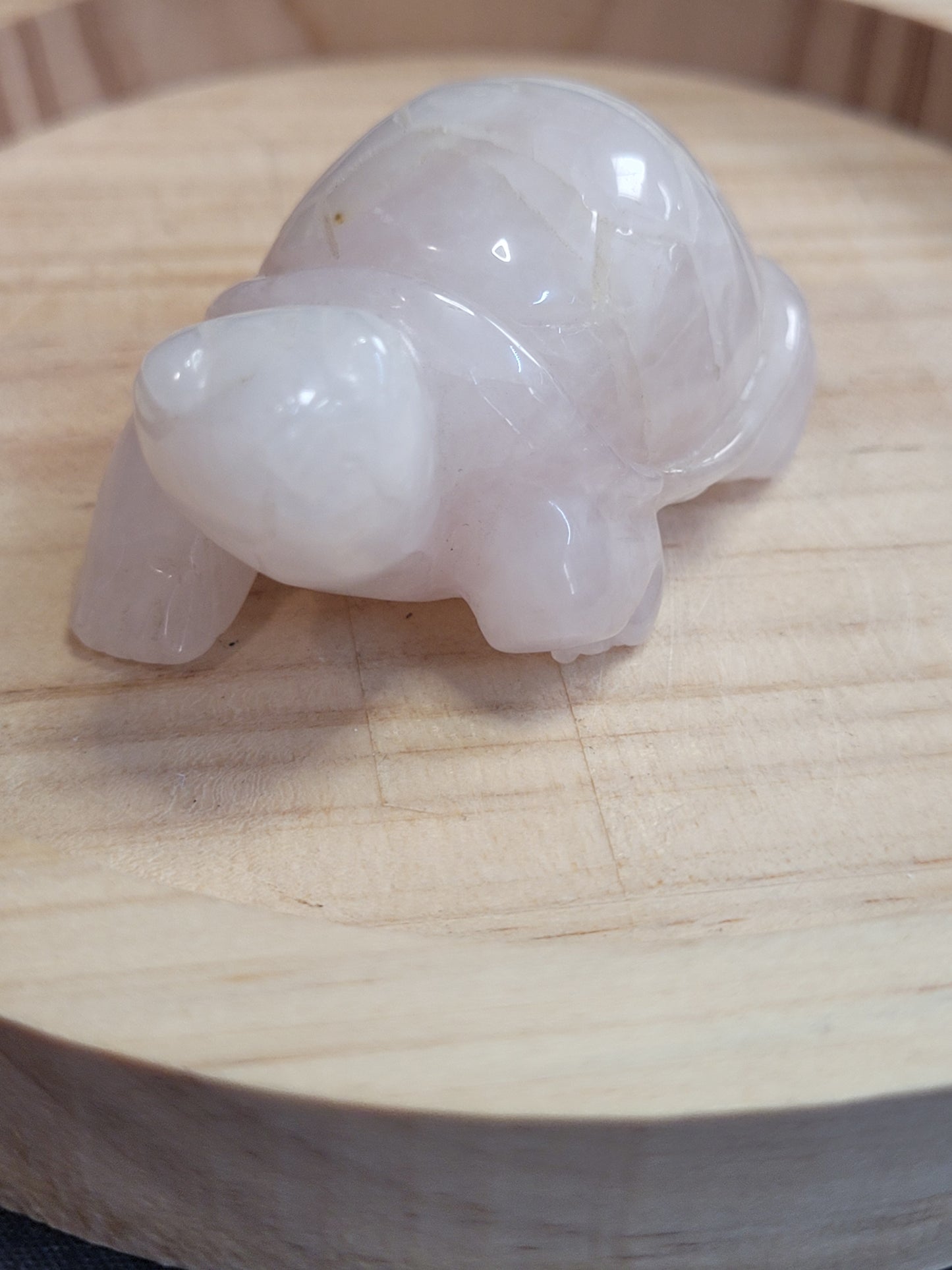 Rose Quartz Tortoise - misfit