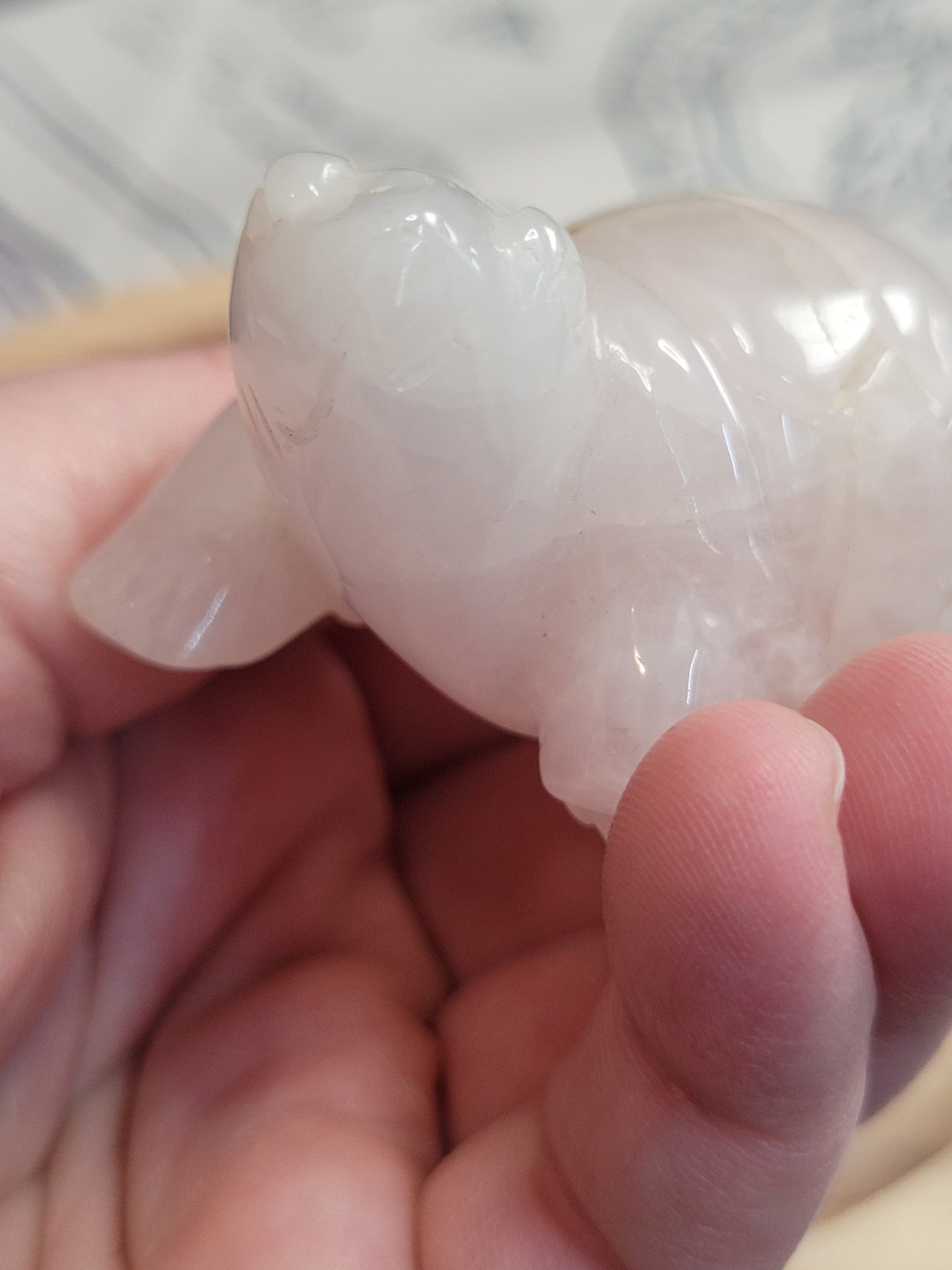 Rose Quartz Tortoise - misfit