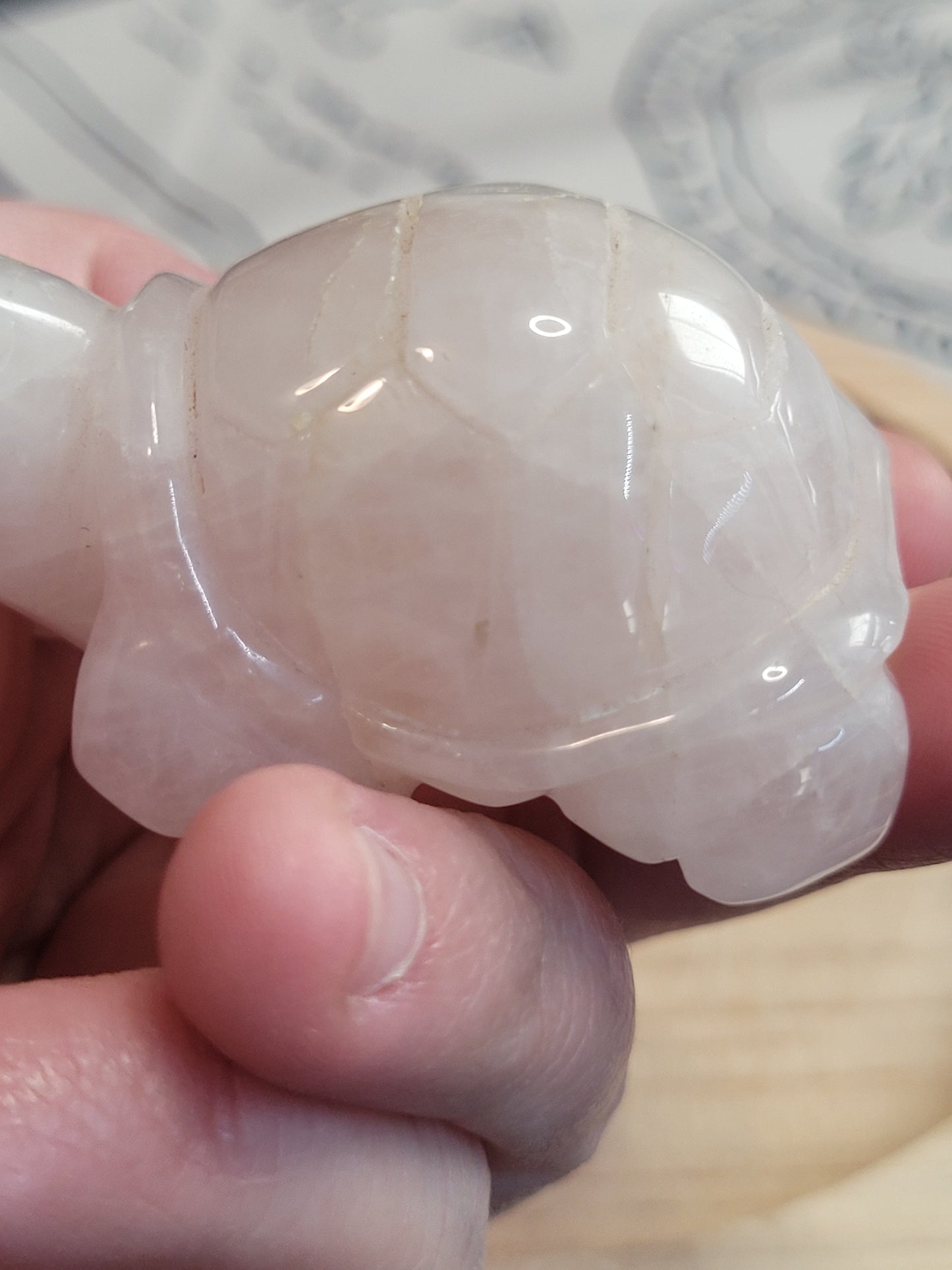 Rose Quartz Tortoise - misfit