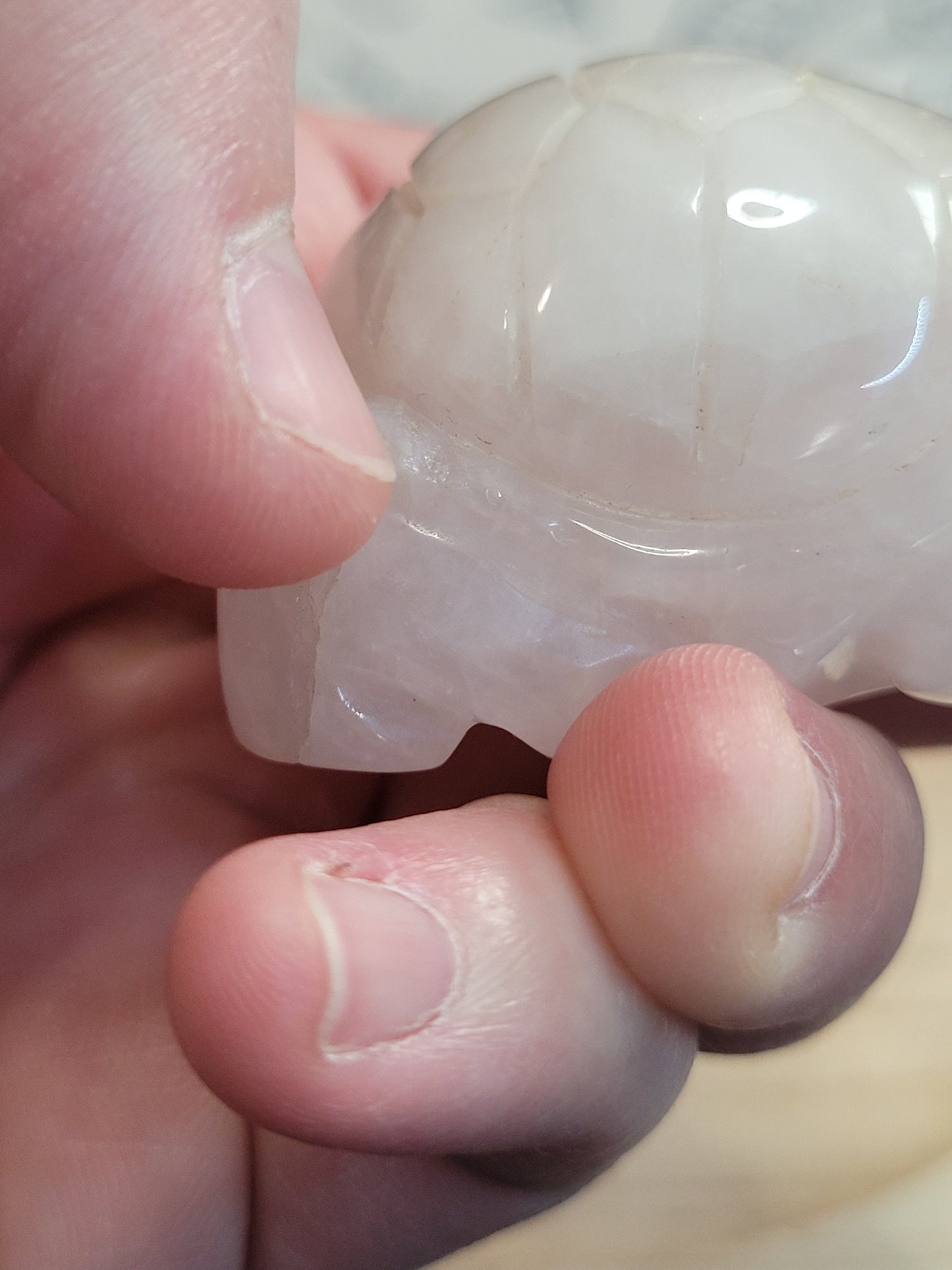 Rose Quartz Tortoise - misfit