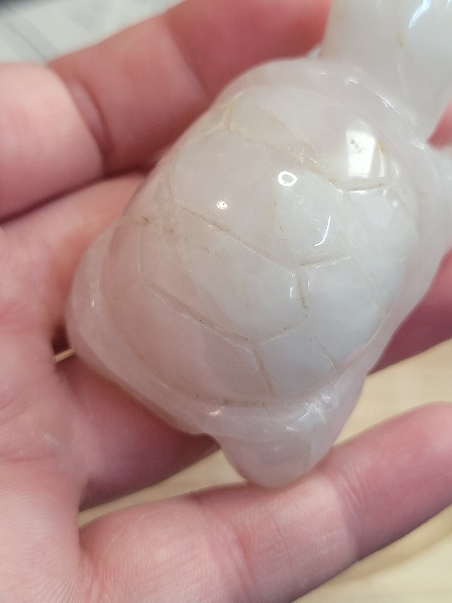 Rose Quartz Tortoise - misfit