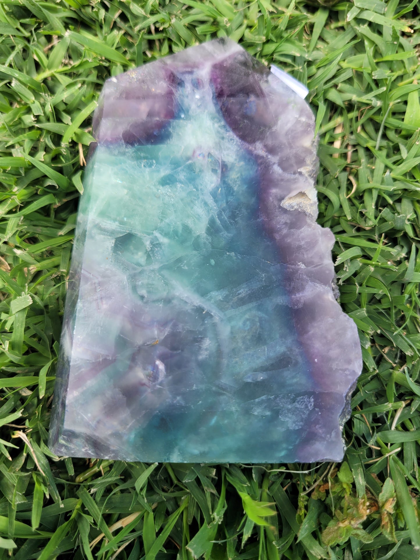 Fluorite Towers - Raw & Polished - Large
