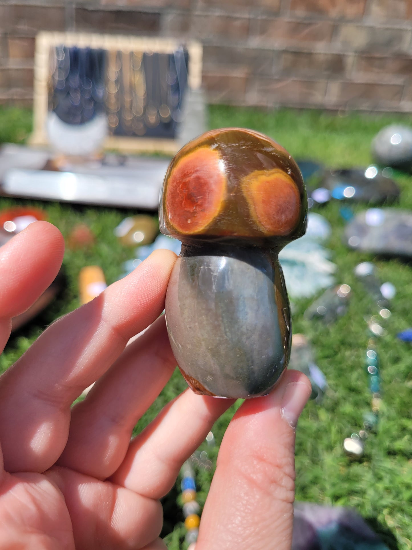 Polychrome Jasper Mushroom - Small - misfit