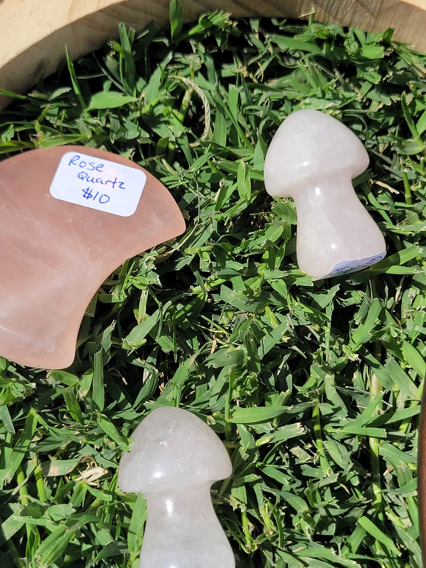 Mushroom Carvings - Small