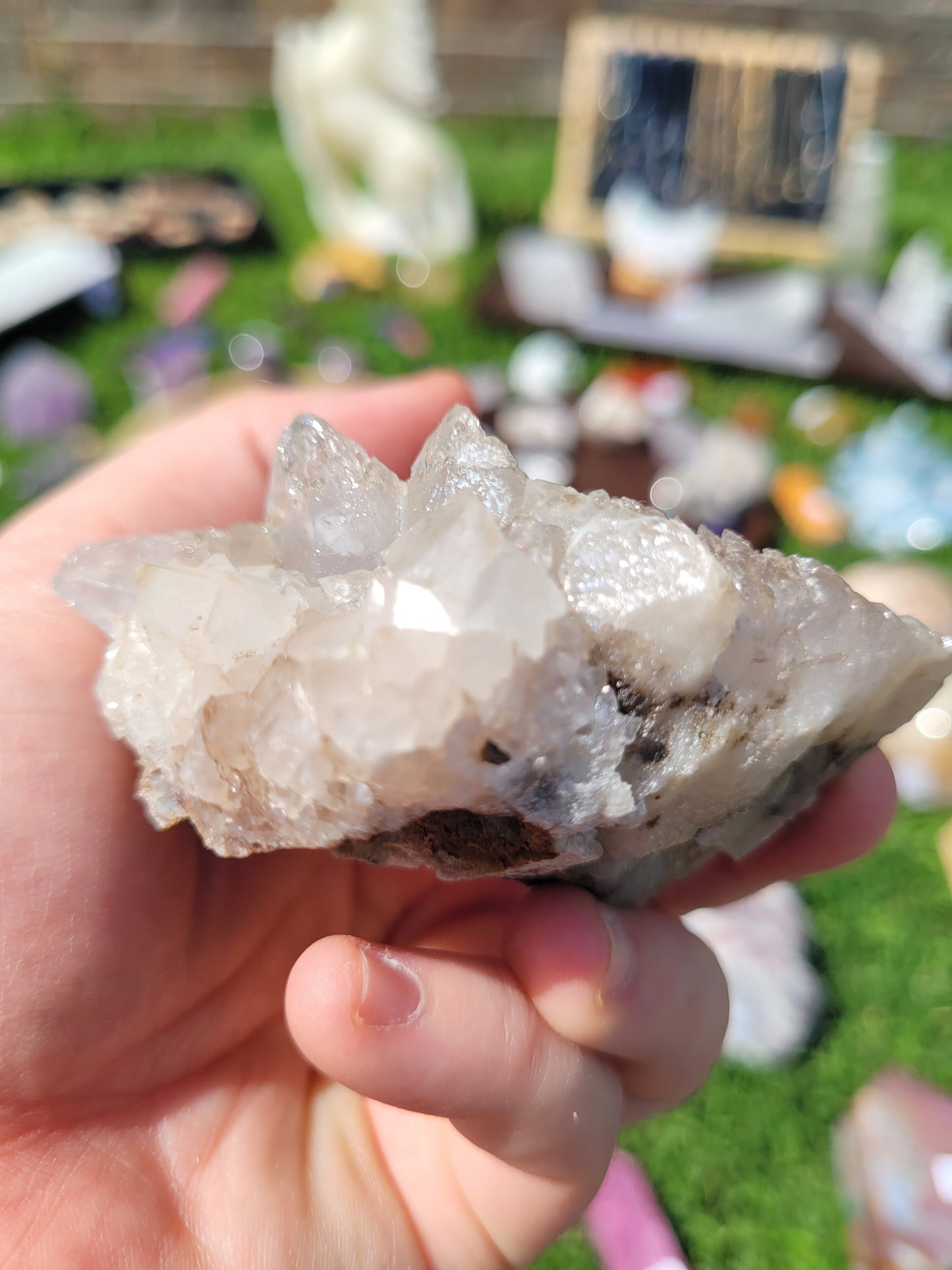 Fluorescent Dog Tooth Calcite Specimens - Albert's Mountain - Lesotho - Africa