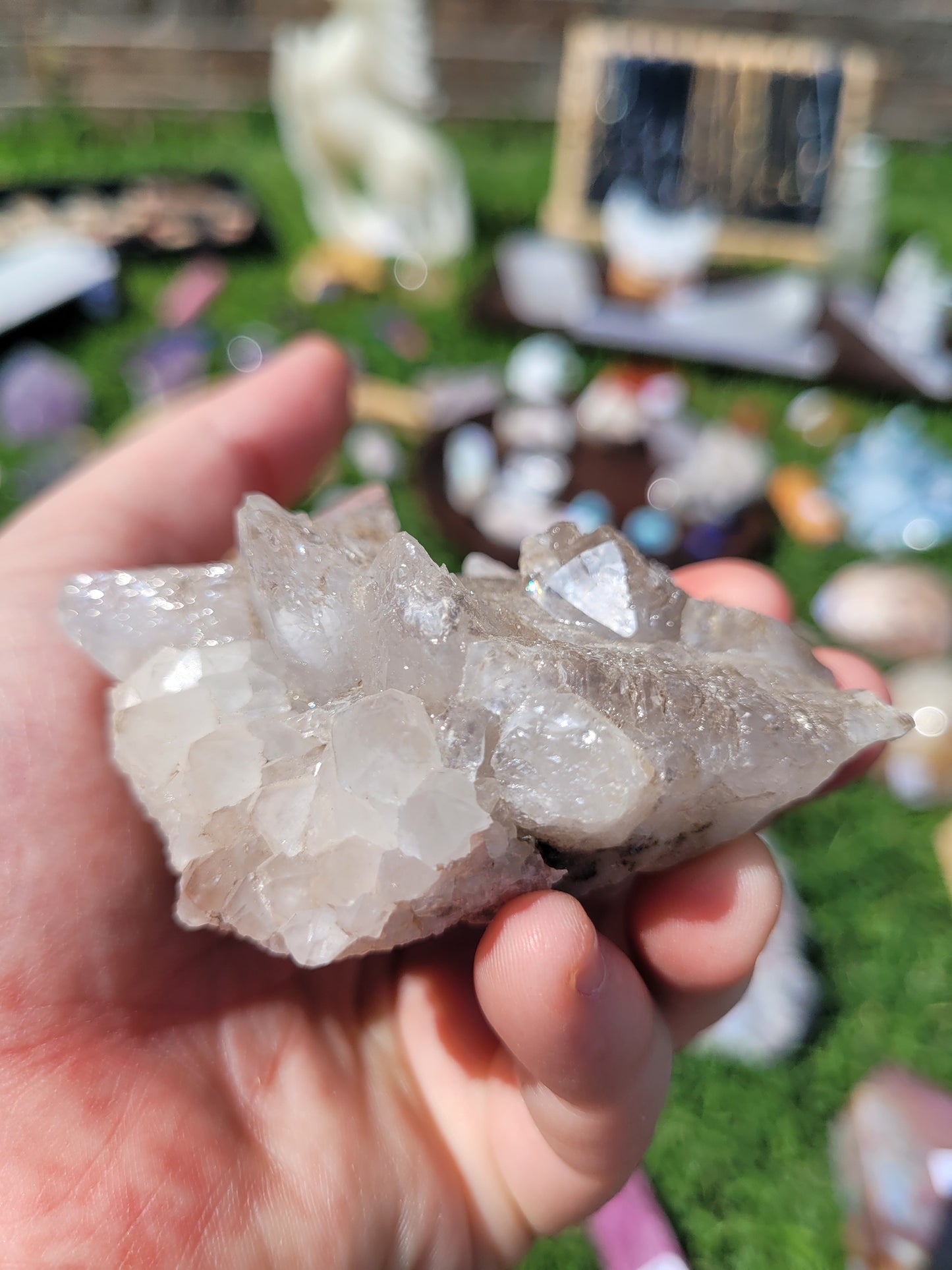 Fluorescent Dog Tooth Calcite Specimens - Albert's Mountain - Lesotho - Africa