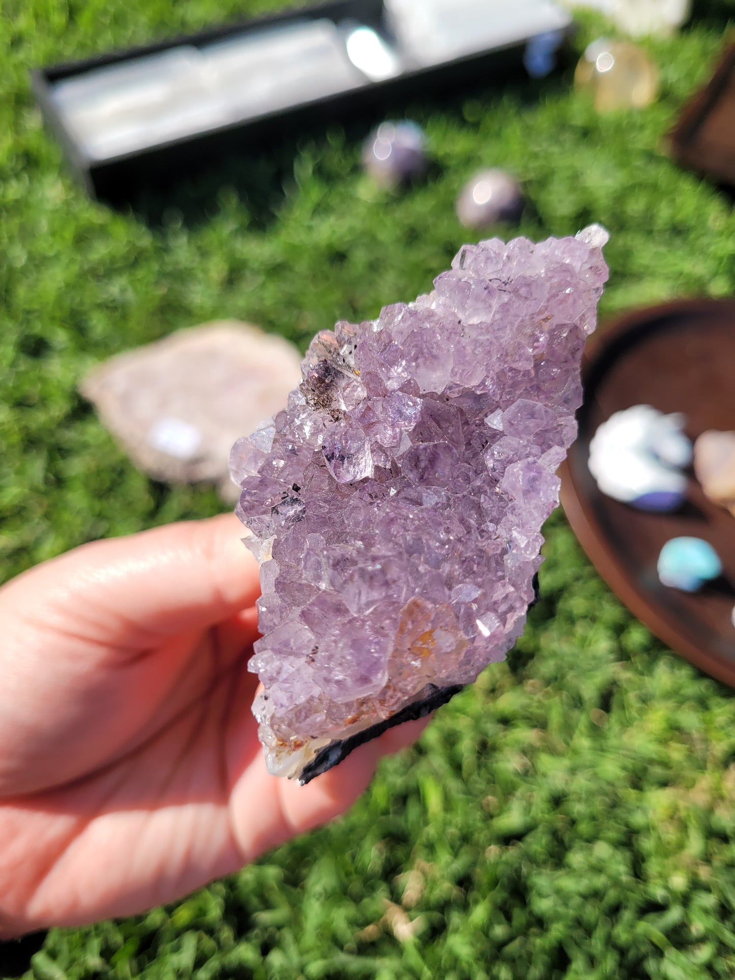 Raw Amethyst Point Cluster - "Tooth" - Specimen