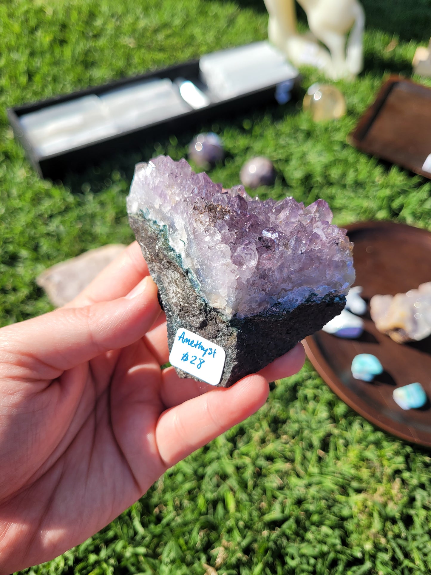 Raw Amethyst Point Cluster - "Tooth" - Specimen