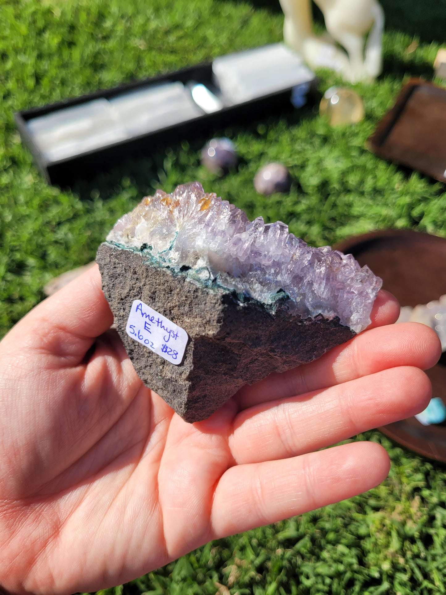 Raw Amethyst Point Cluster - "Tooth" - Specimen