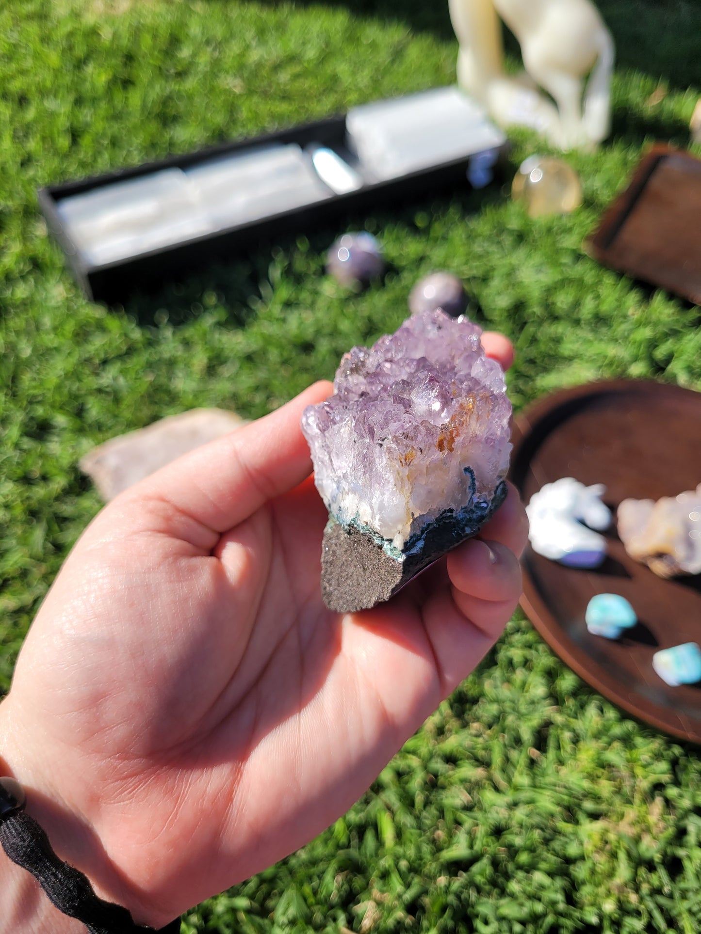 Raw Amethyst Point Cluster - "Tooth" - Specimen
