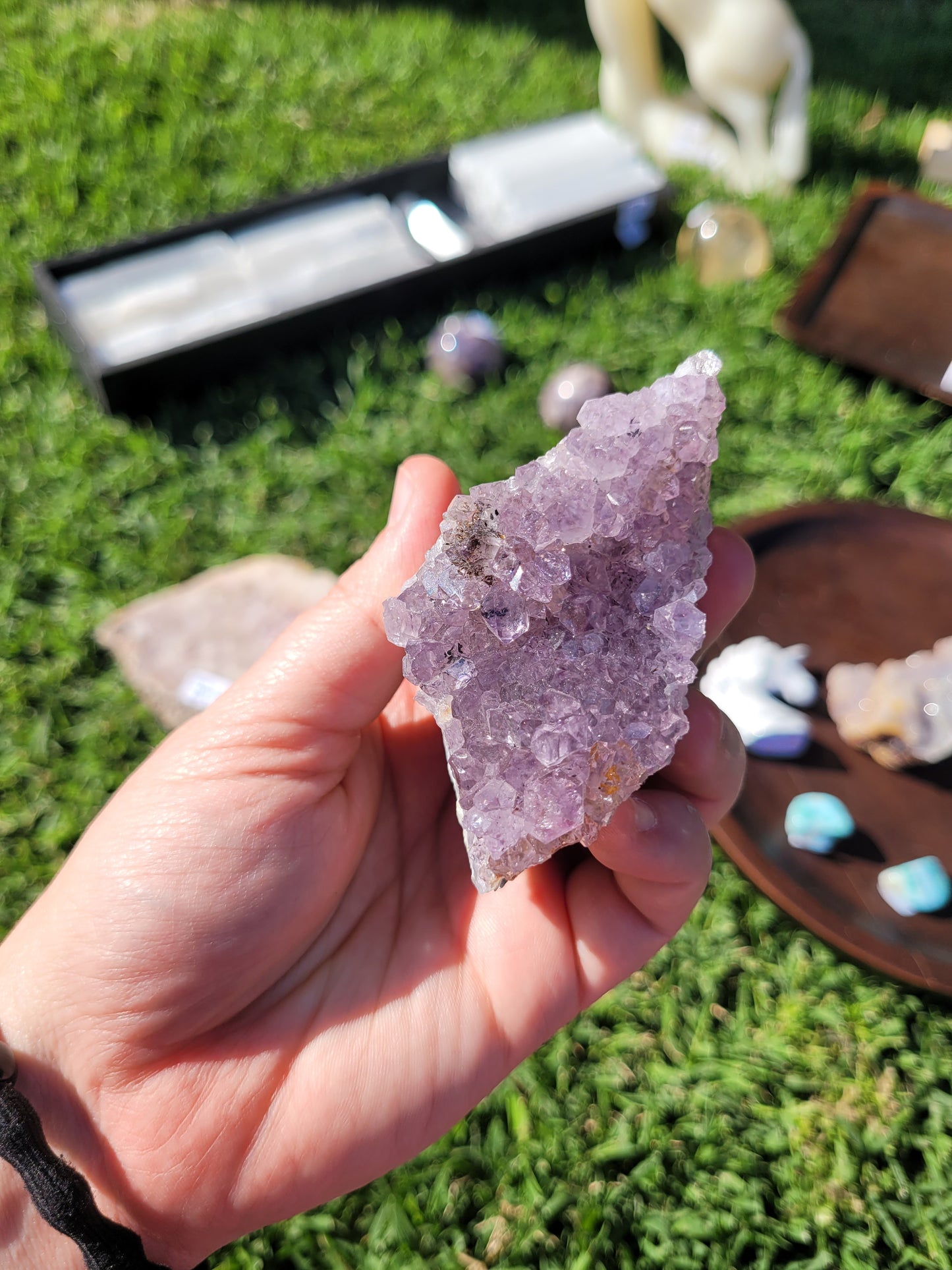 Raw Amethyst Point Cluster - "Tooth" - Specimen